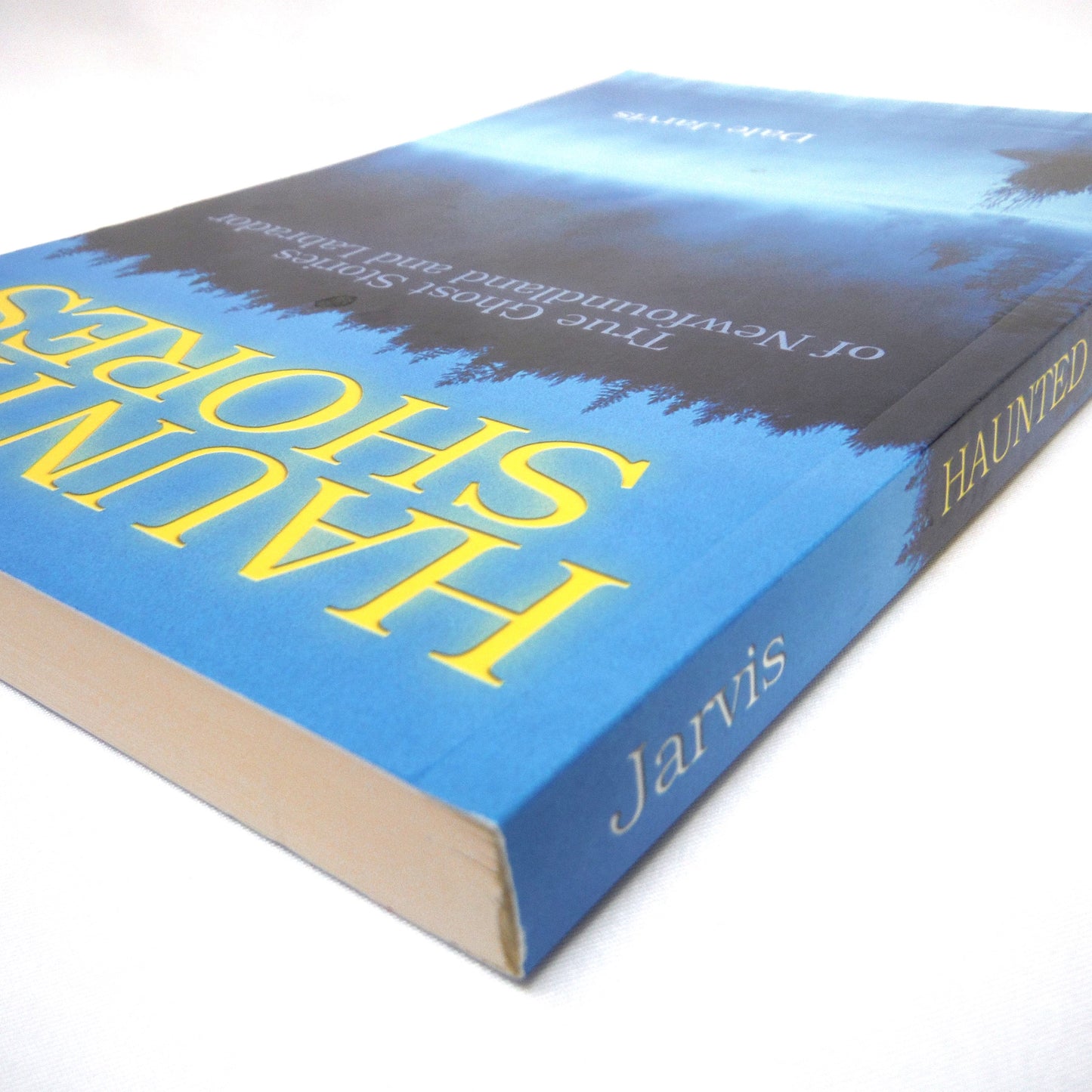 HAUNTED SHORES, True Ghost Stories of Newfoundland and Labrador, by Dale Jarvis (2004 1st Ed.)