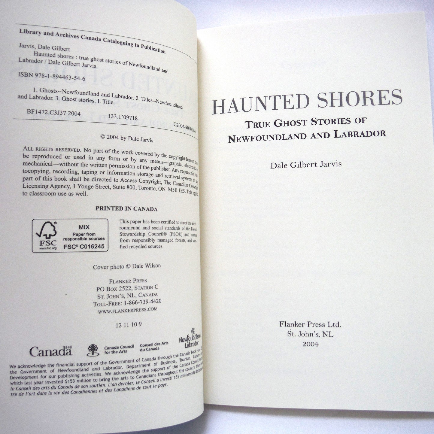 HAUNTED SHORES, True Ghost Stories of Newfoundland and Labrador, by Dale Jarvis (2004 1st Ed.)