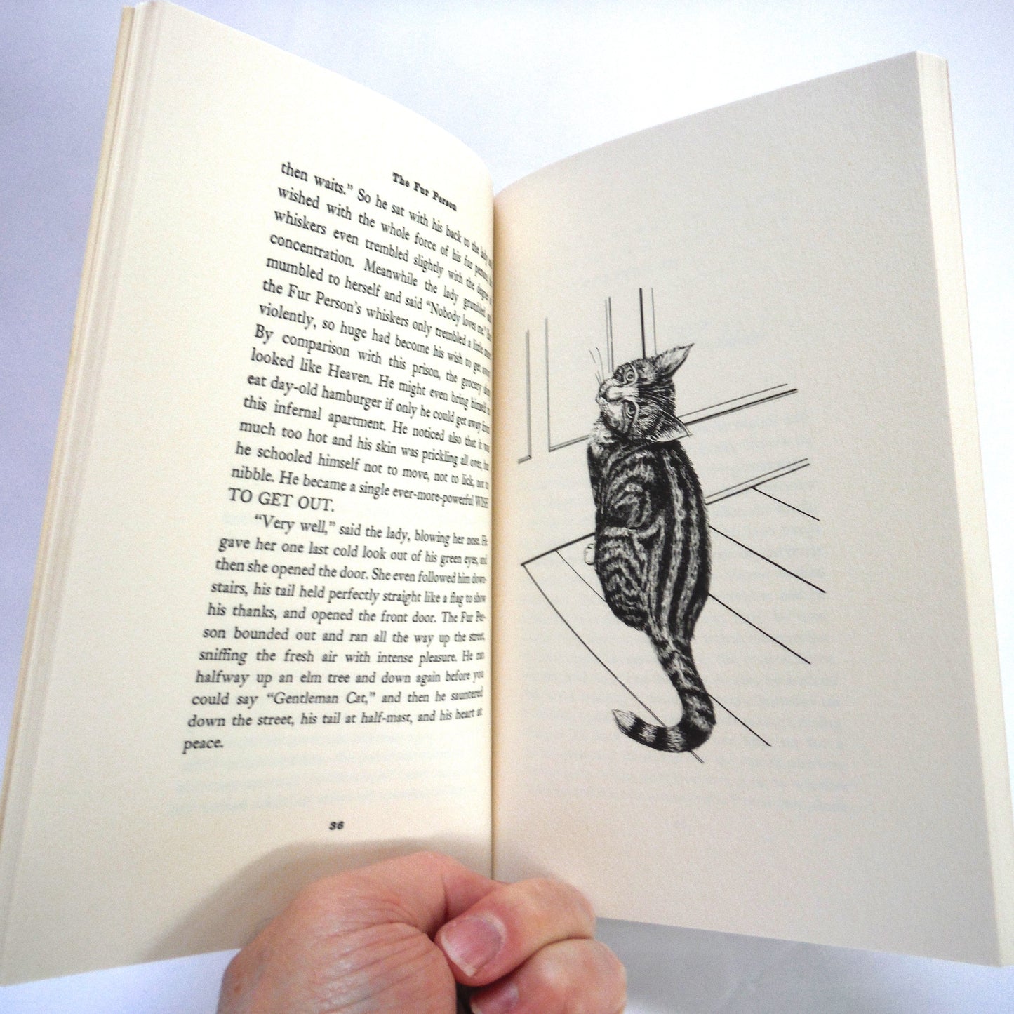 THE FUR PERSON, An Illustrated Novel by May Sarton (1983 1st Ed.)