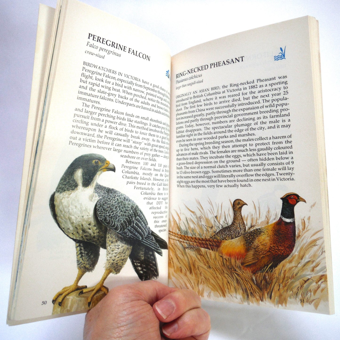BIRDS OF VICTORIA and Vicinity, by Robin Bovey, Wayne Campbell, Bryan Gates (1989 1st Ed.)
