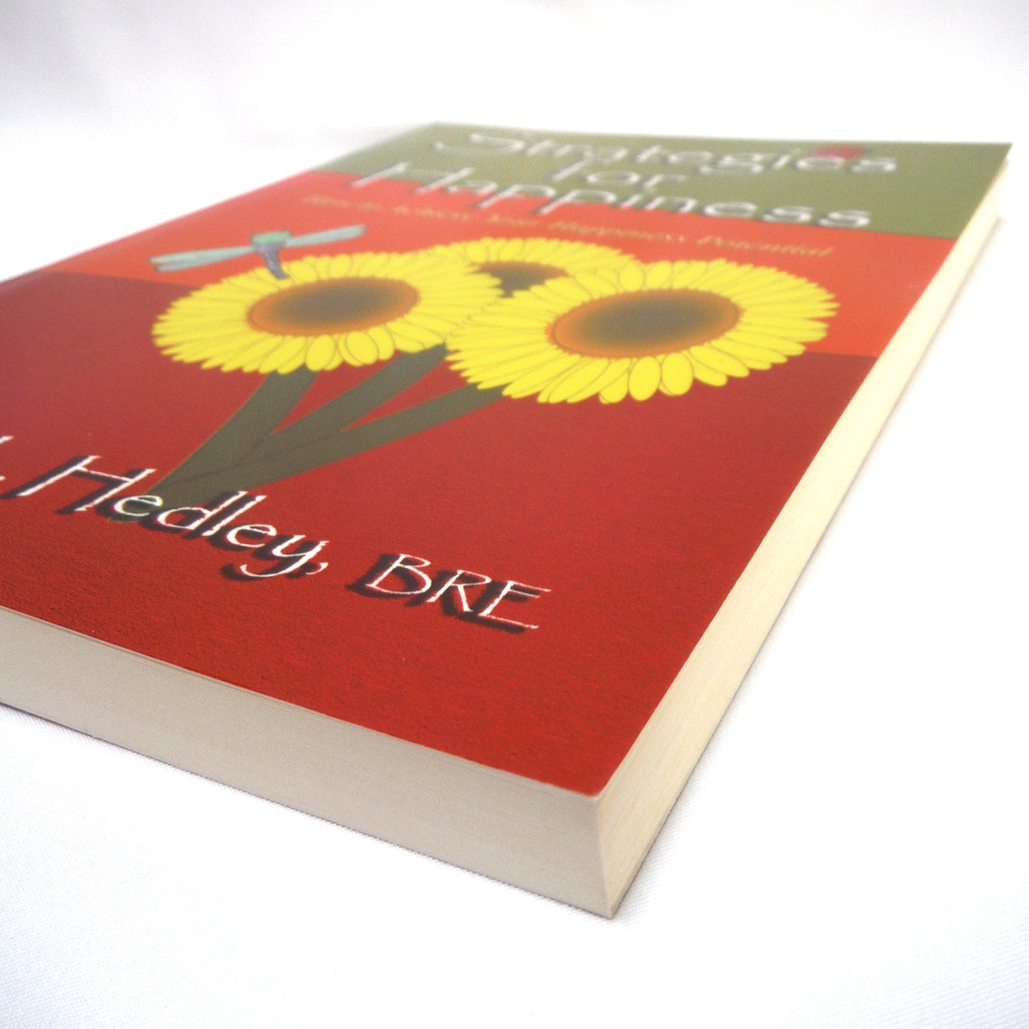 STRATEGIES FOR HAPPINESS, How to Achieve Your Happiness Potential, by Donna L. Hedley, BRE (2009 1st Ed.)