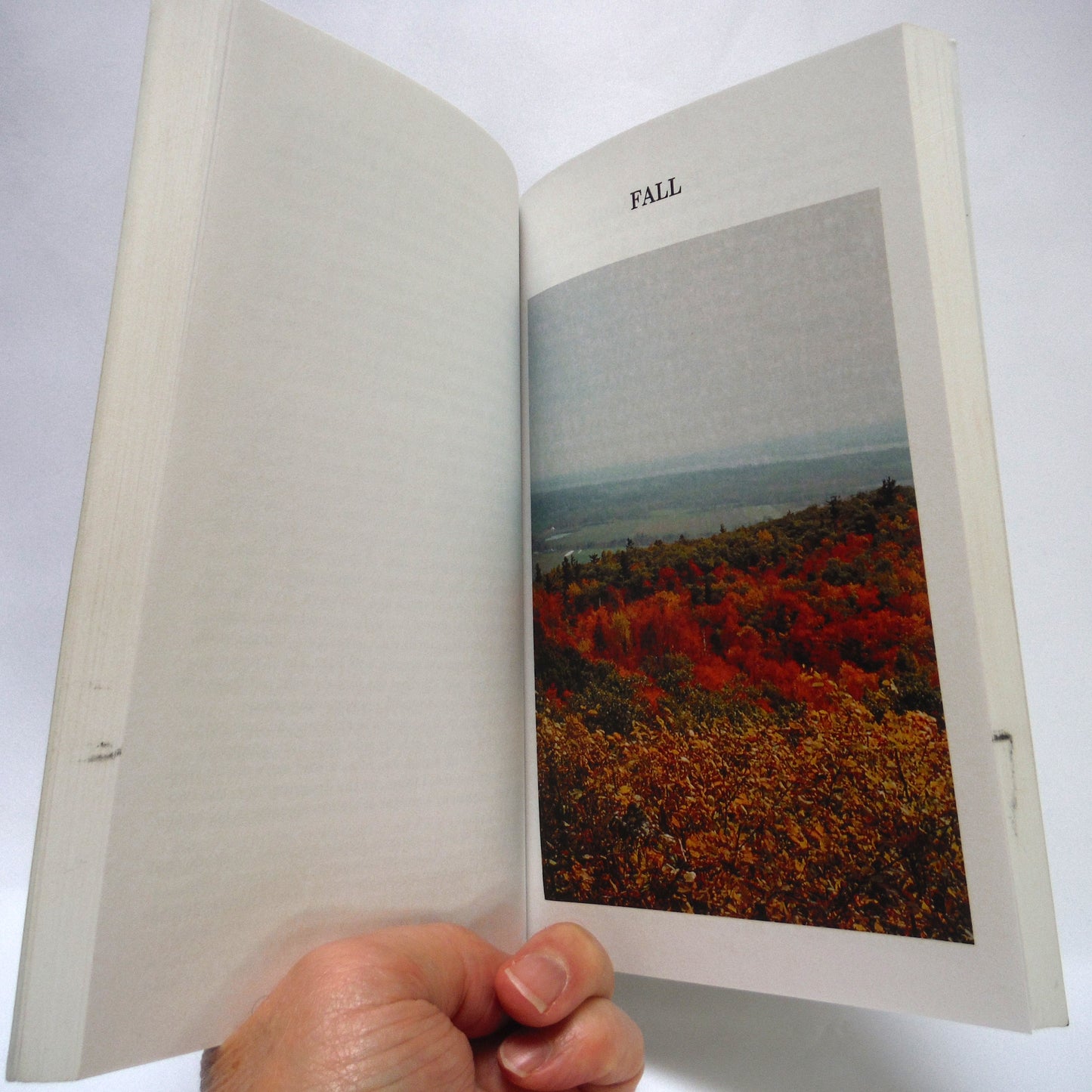 THE WORLD OUTSIDE, Nature Writings and Wildlife Photographs by Donald L. Woodcock (2005 1st Ed.)