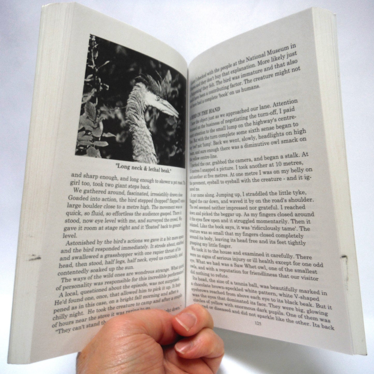 THE WORLD OUTSIDE, Nature Writings and Wildlife Photographs by Donald L. Woodcock (2005 1st Ed.)