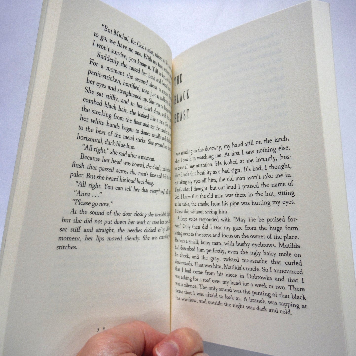 A SCRAP OF TIME, And Other Stories by Ida Fink. Translated by Madeline Levine and Francine Prose (1996 1st Ed.)