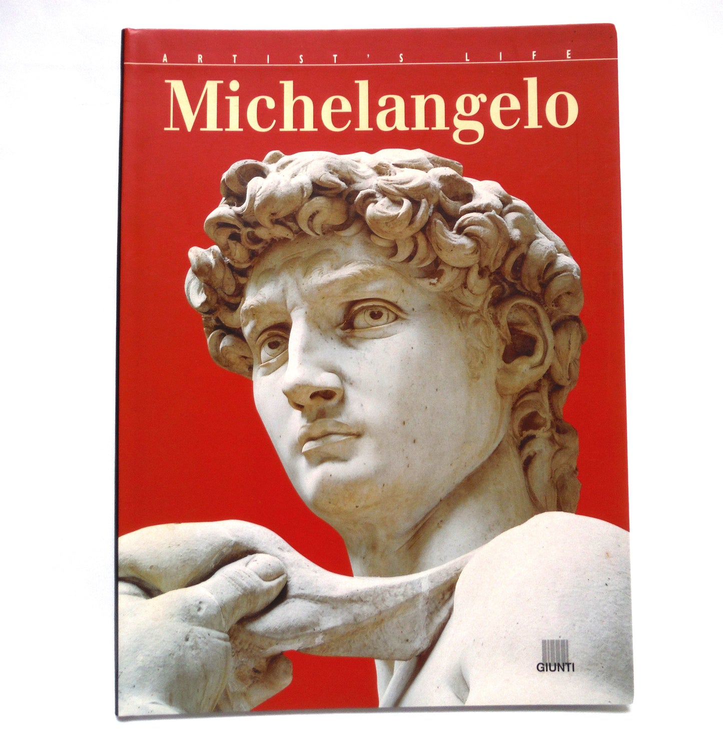 MICHELANGELO, The Artist's Life, by Enrica Crispino, 2006