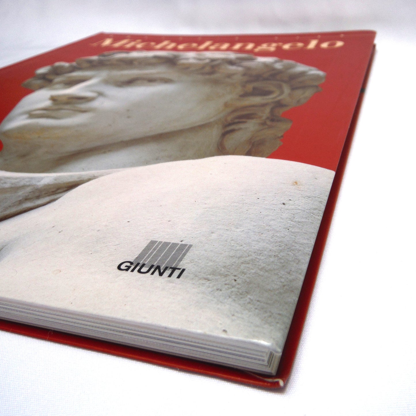 MICHELANGELO, The Artist's Life, by Enrica Crispino, 2006