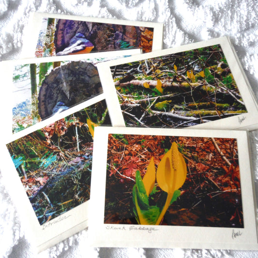 Original Art Greeting Card, Forest Floor Collection: "SKUNK CABBAGE"