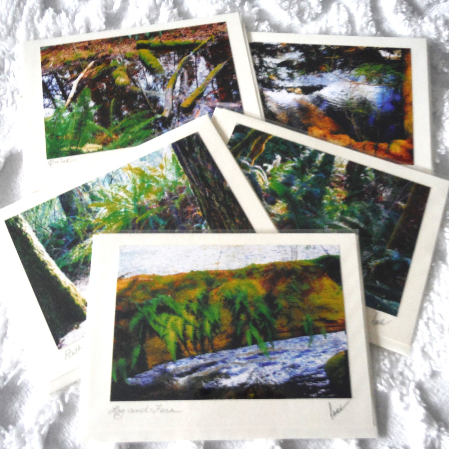 Original Art Greeting Card, Ferns & Water Collection: "GIANT FERNS"