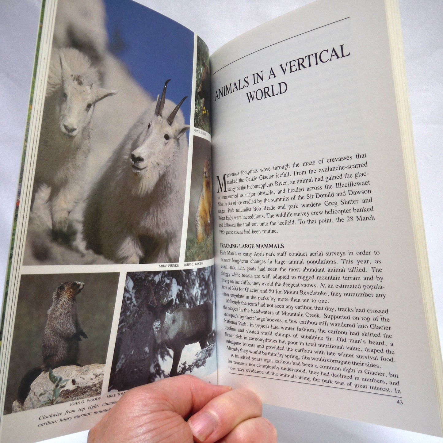 GLACIER COUNTRY, Mount Revelstoke and Glacier National Parks, by John G. Woods (1987 1st Ed.)