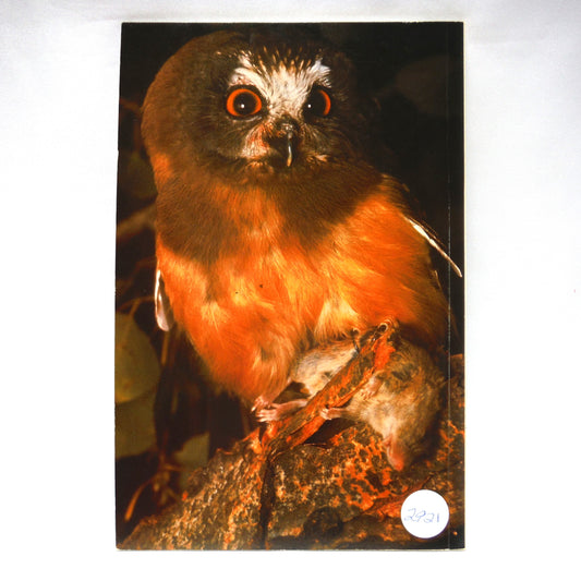 BIRDS OF BRITISH COLUMBIA, Some of the Common and Uncommon, by David A. Hancock and David Stirling (1989 1st Ed.)