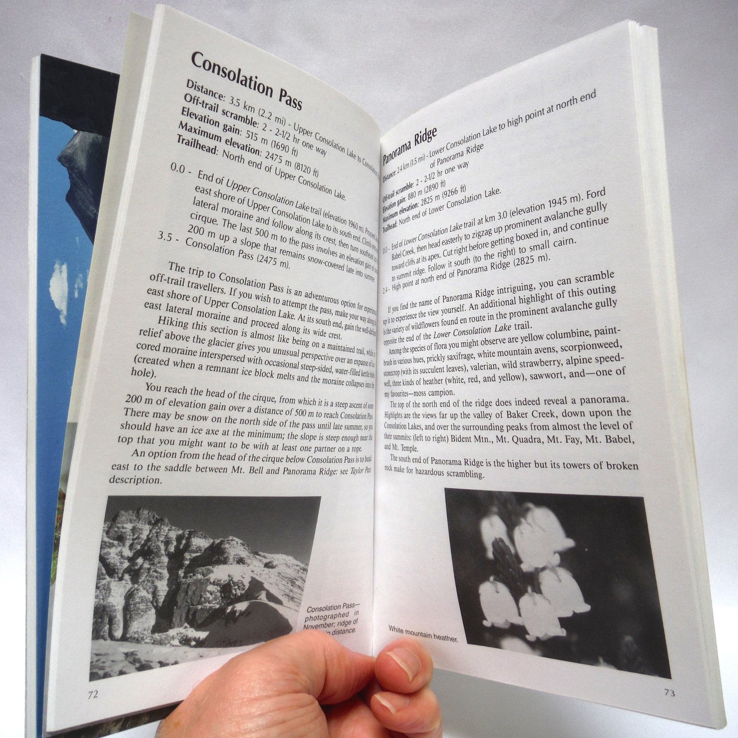 HIKING LAKE LOUISE, Walking, hiking, backpacking, and off-trail scrambling in the Lake Louise area, by Mike Potter (1994 1st Ed.)