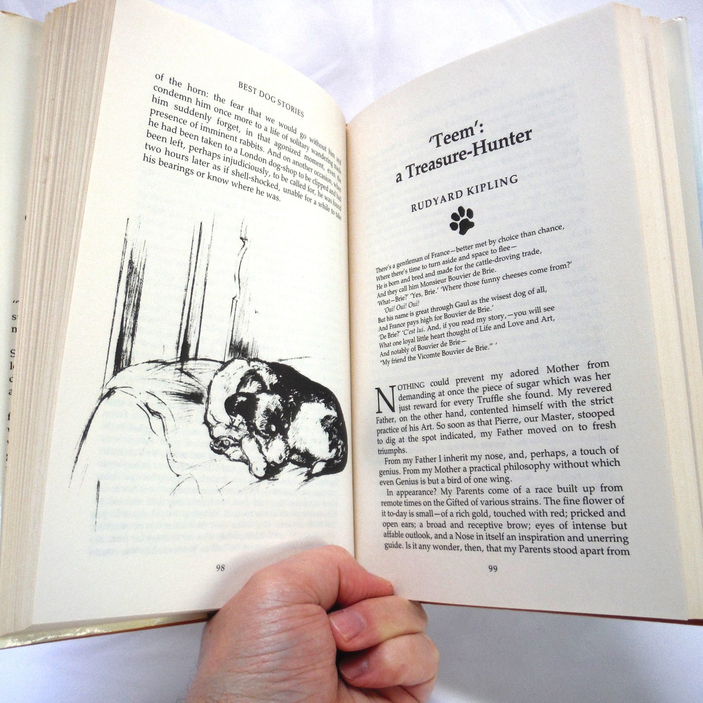 BEST DOG STORIES, Edited by Lesley O'Mara, Introducted by Gerald Durrell (1990 1st Ed.)
