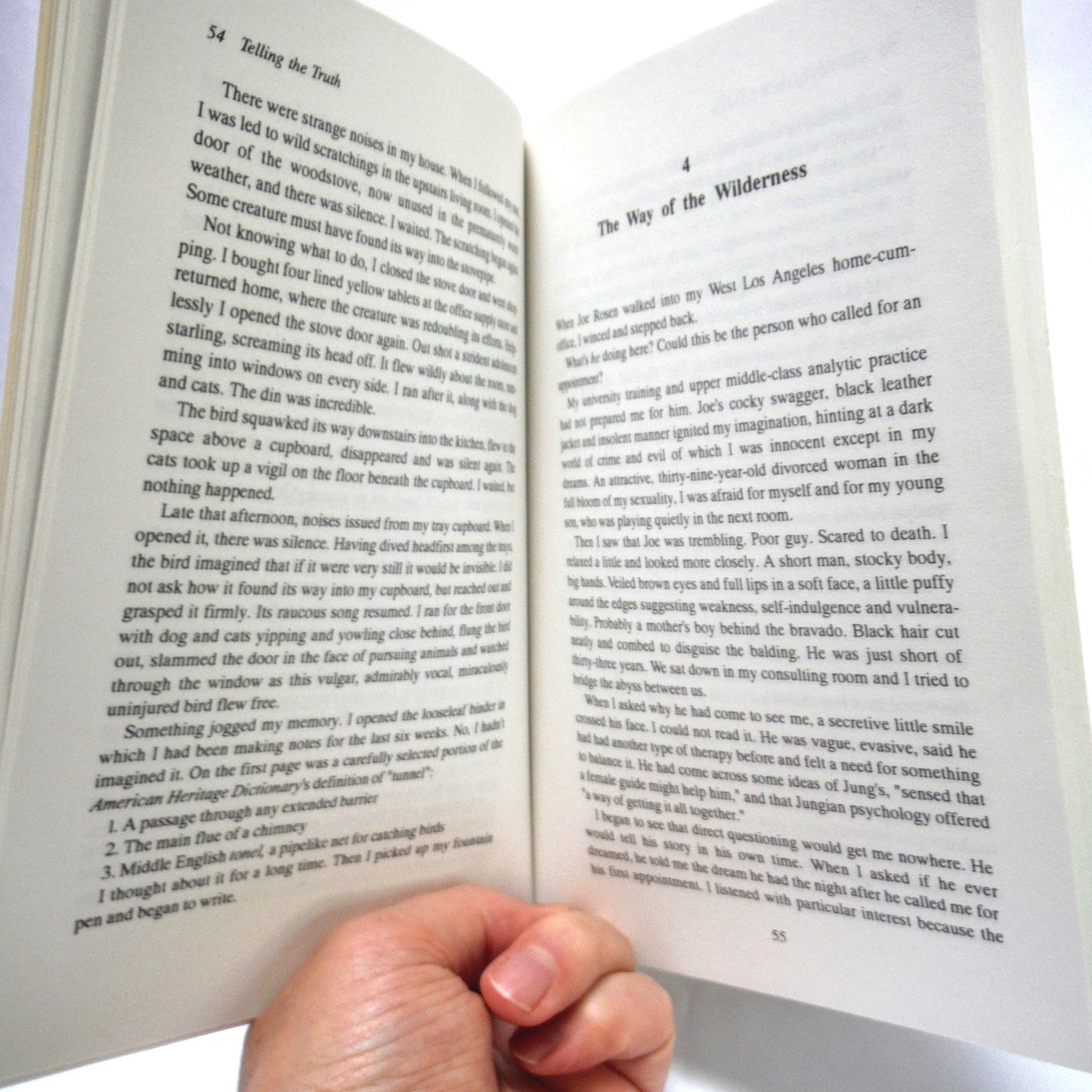 WHEN THE SPIRITS COME BACK, A Study by Janet O. Dallett (1988 1st Ed.)