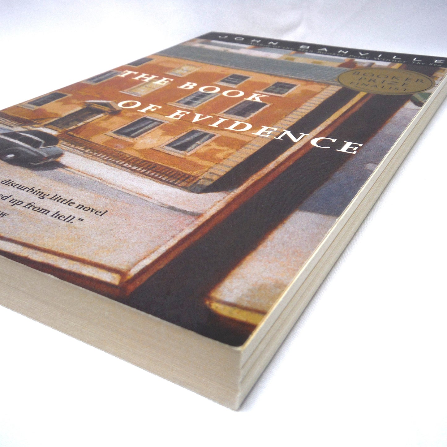 THE BOOK OF EVIDENCE, A Novel by John Banville (2001 1st Ed.)