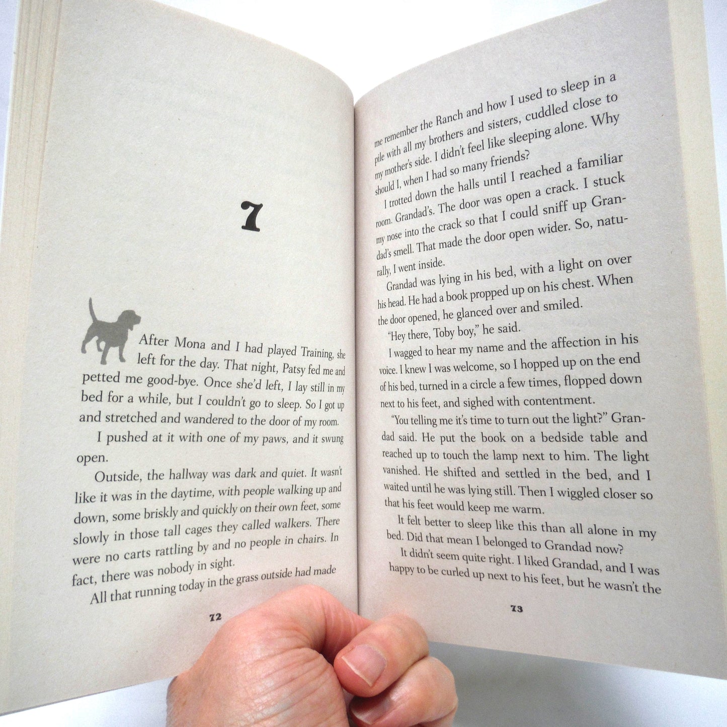 TOBY'S STORY, Will Toby Discover His Purpose? A Puppy Tale by W. Bruce Cameron (2019 1st Ed.)