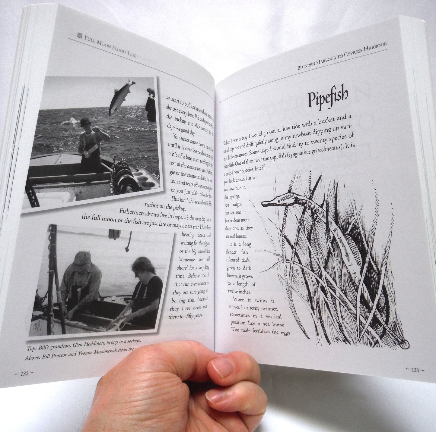 FULL MOON, FLOOD TIDE: Bill Proctor's Raincoast, by Bill Proctor and Yvonne Maximchuk (2007 1st Ed.)
