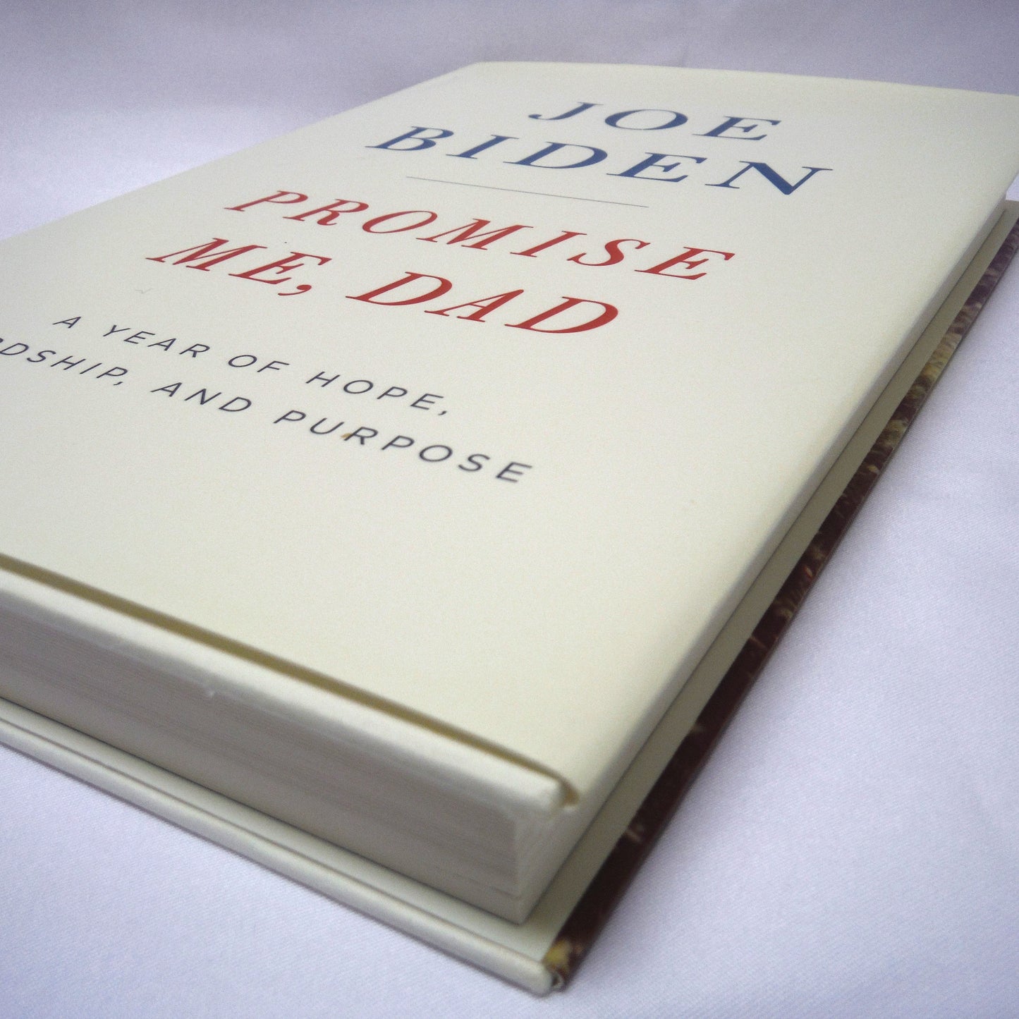 PROMISE ME DAD, A Year of Hope, Hardship, and Purpose, by Joe Biden (2017 1st Ed.)
