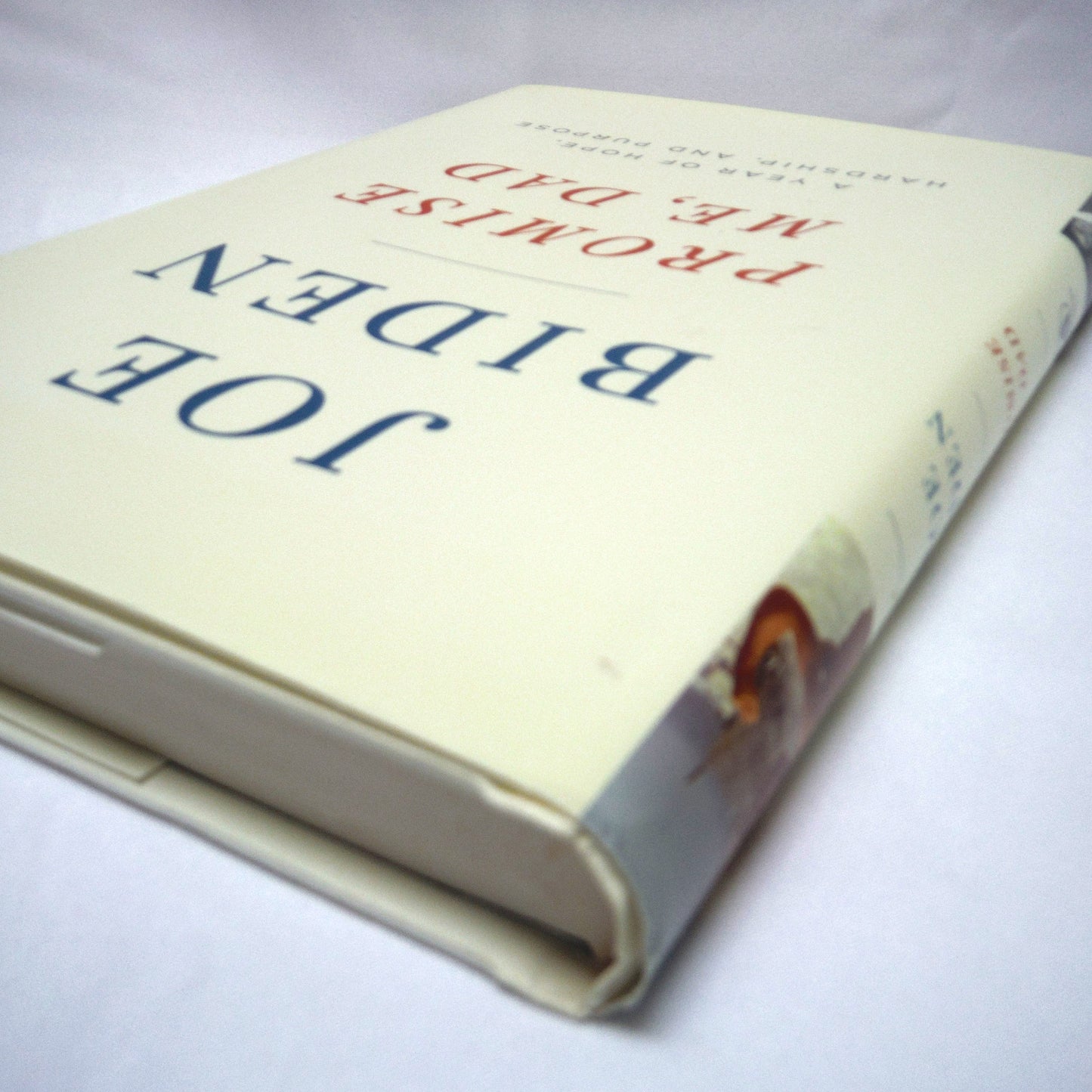 PROMISE ME DAD, A Year of Hope, Hardship, and Purpose, by Joe Biden (2017 1st Ed.)