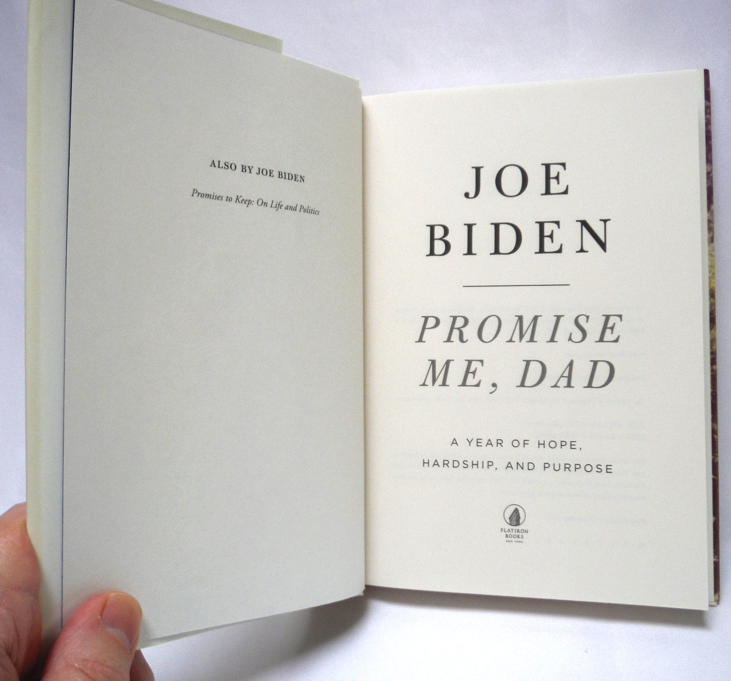 PROMISE ME DAD, A Year of Hope, Hardship, and Purpose, by Joe Biden (2017 1st Ed.)