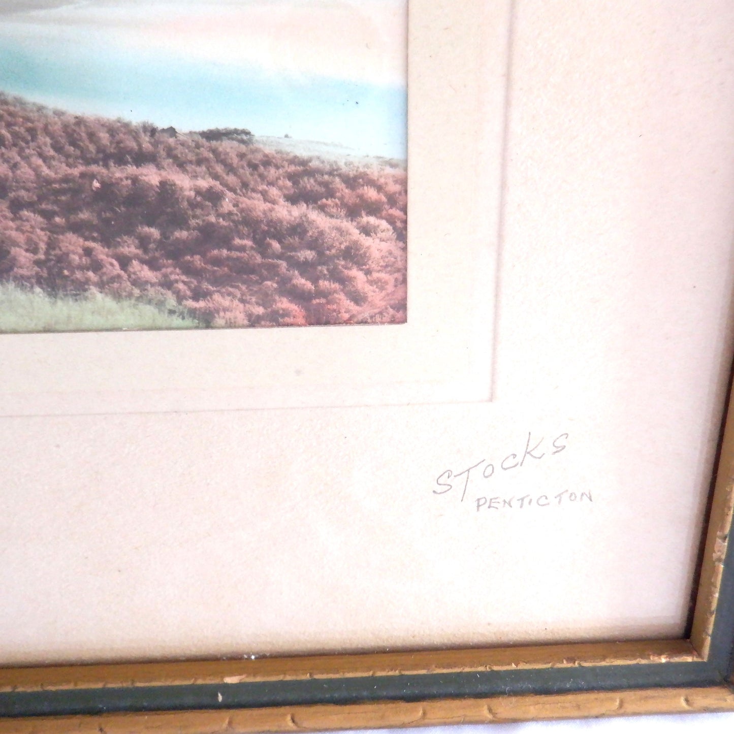 Antique Hand-Tinted Photograph by JACK STOCKS: 'PENTICTON, British Columbia'