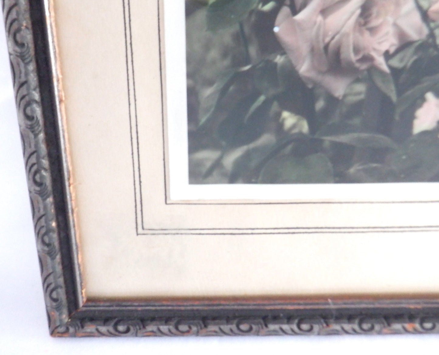 ROSES IN BEACON HILL PARK, in Victoria, British Columbia: VINTAGE HAND-TINTED FLOWER PHOTO OF EMILY CARR'S FAVOURITE GARDEN!