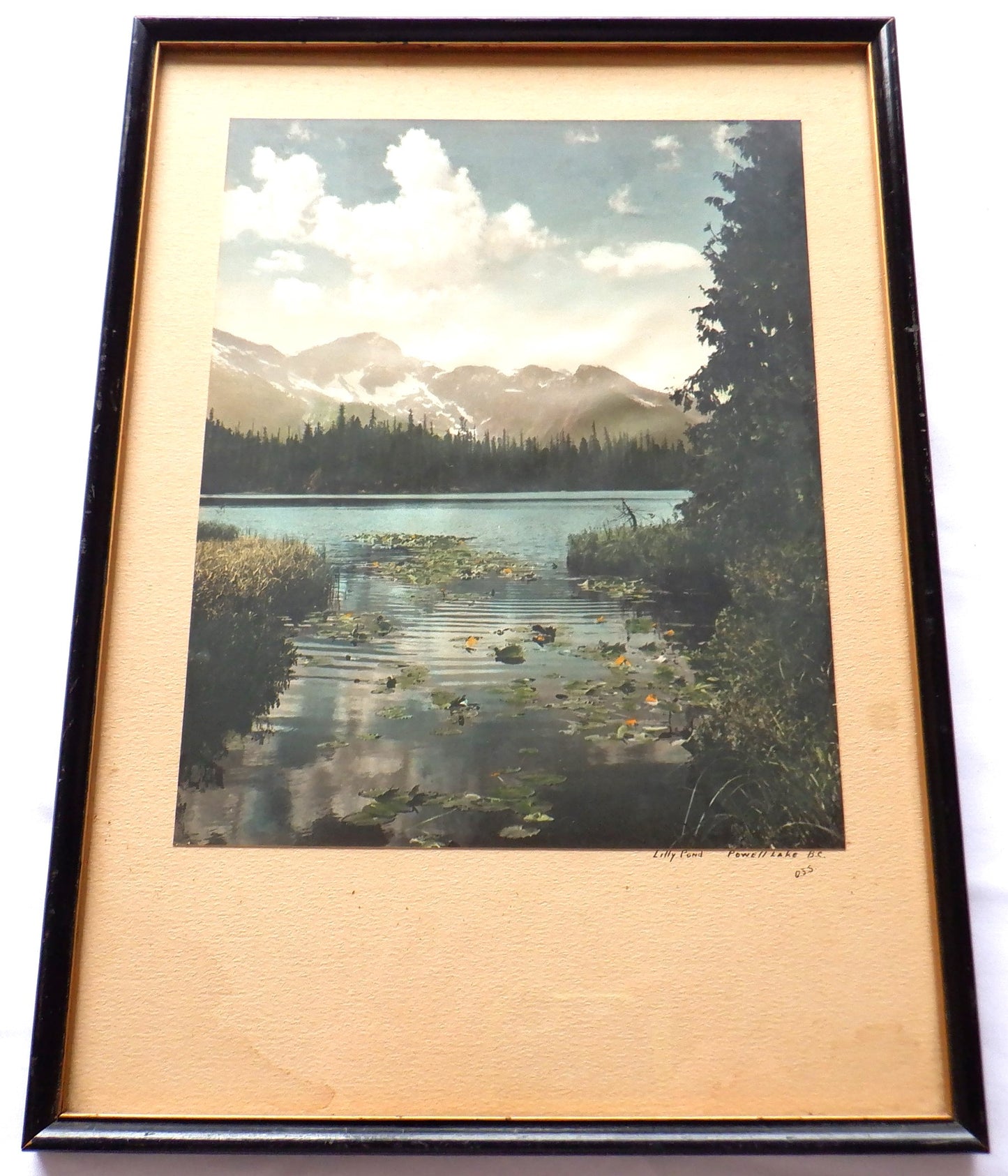 Vintage Hand-Tinted Photograph from Beautiful British Columbia, by O.J.S.: 'LILLY POND POWELL LAKE'