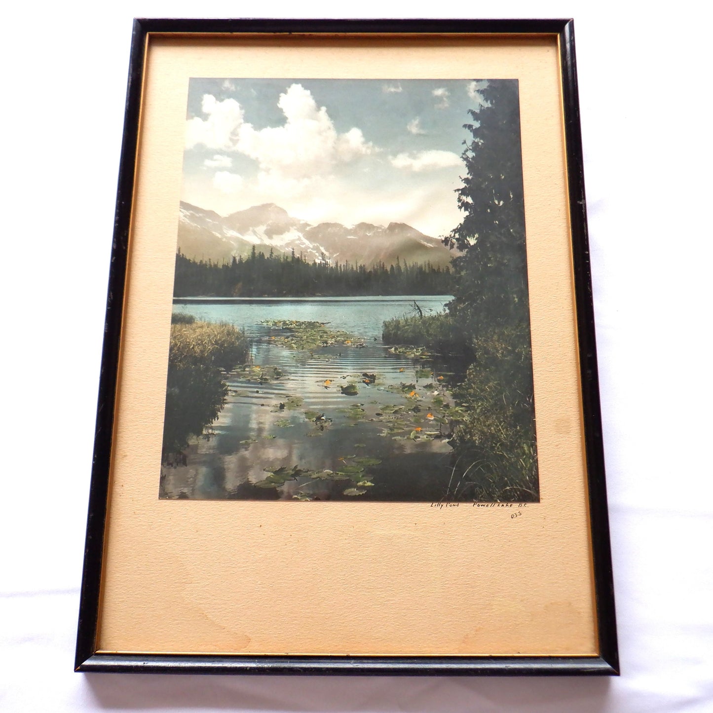 Vintage Hand-Tinted Photograph from Beautiful British Columbia, by O.J.S.: 'LILLY POND POWELL LAKE'