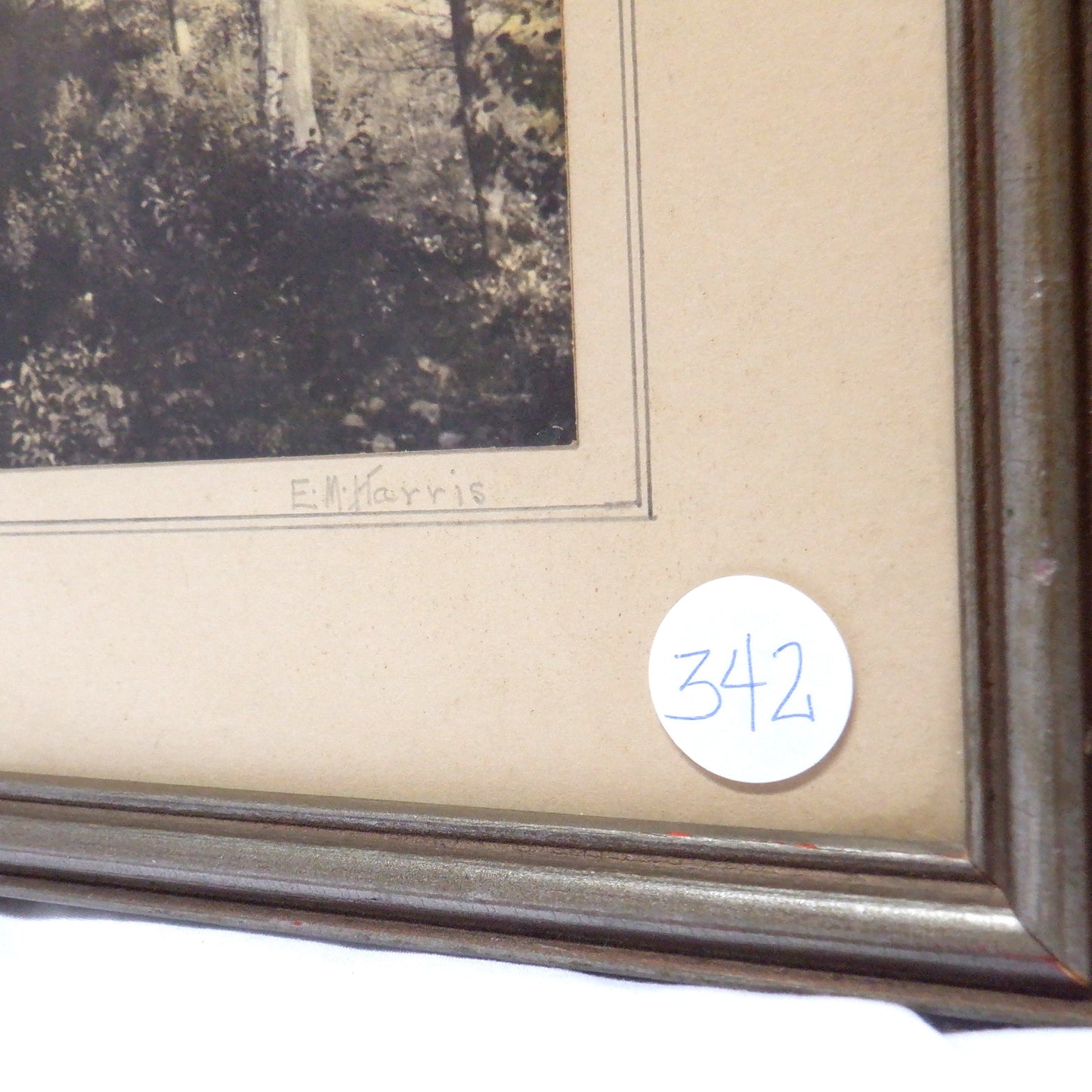 Vintage Mid-Century Hand-Tinted Photograph by Mrs. E.M. Harris of Lawrencetown, Nova Scotia: 'ANNAPOLIS RIVER'