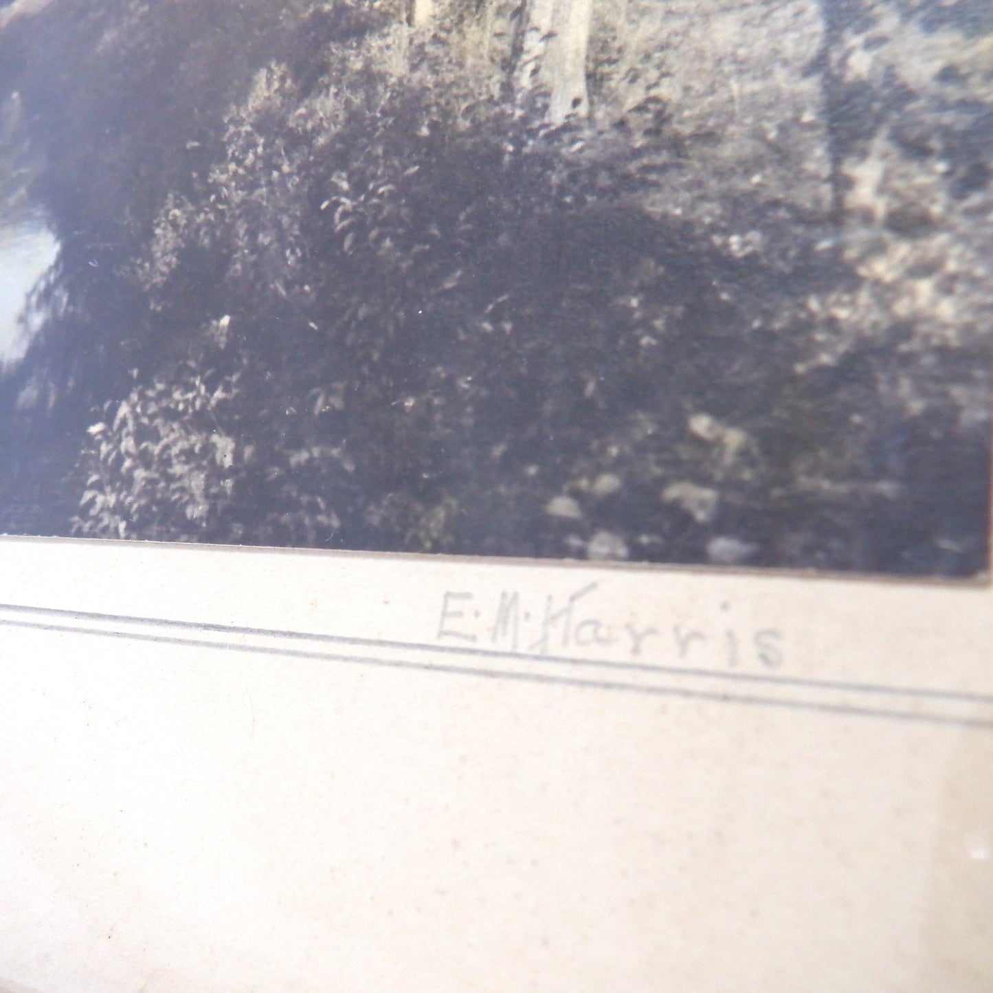 Vintage Mid-Century Hand-Tinted Photograph by Mrs. E.M. Harris of Lawrencetown, Nova Scotia: 'ANNAPOLIS RIVER'