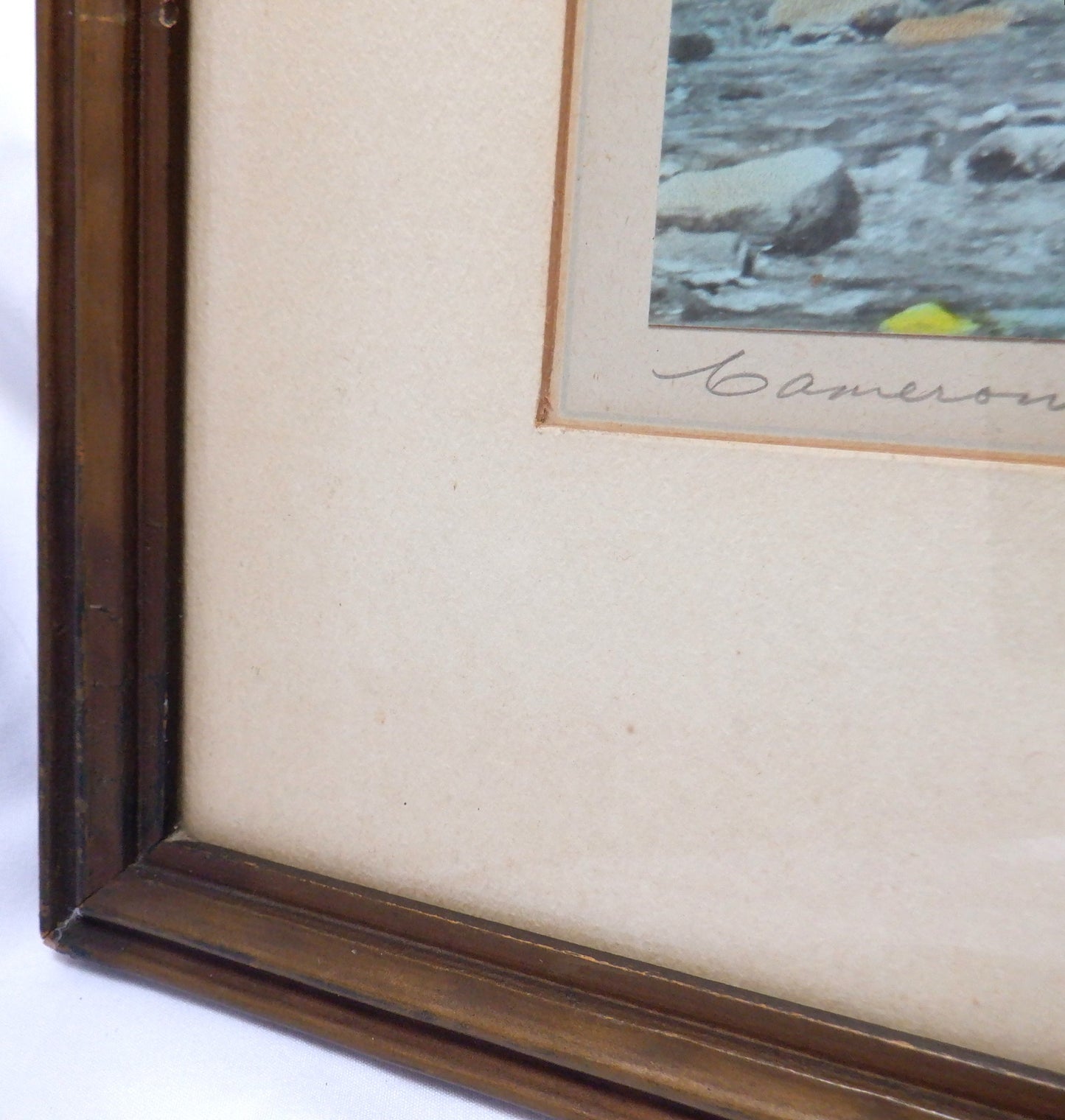 'CAMERON FALLS, ALBERTA', An Antique Hand-Tinted Photograph by Cross Studios, and Framed by J.H. Hill in Westmount, Quebec