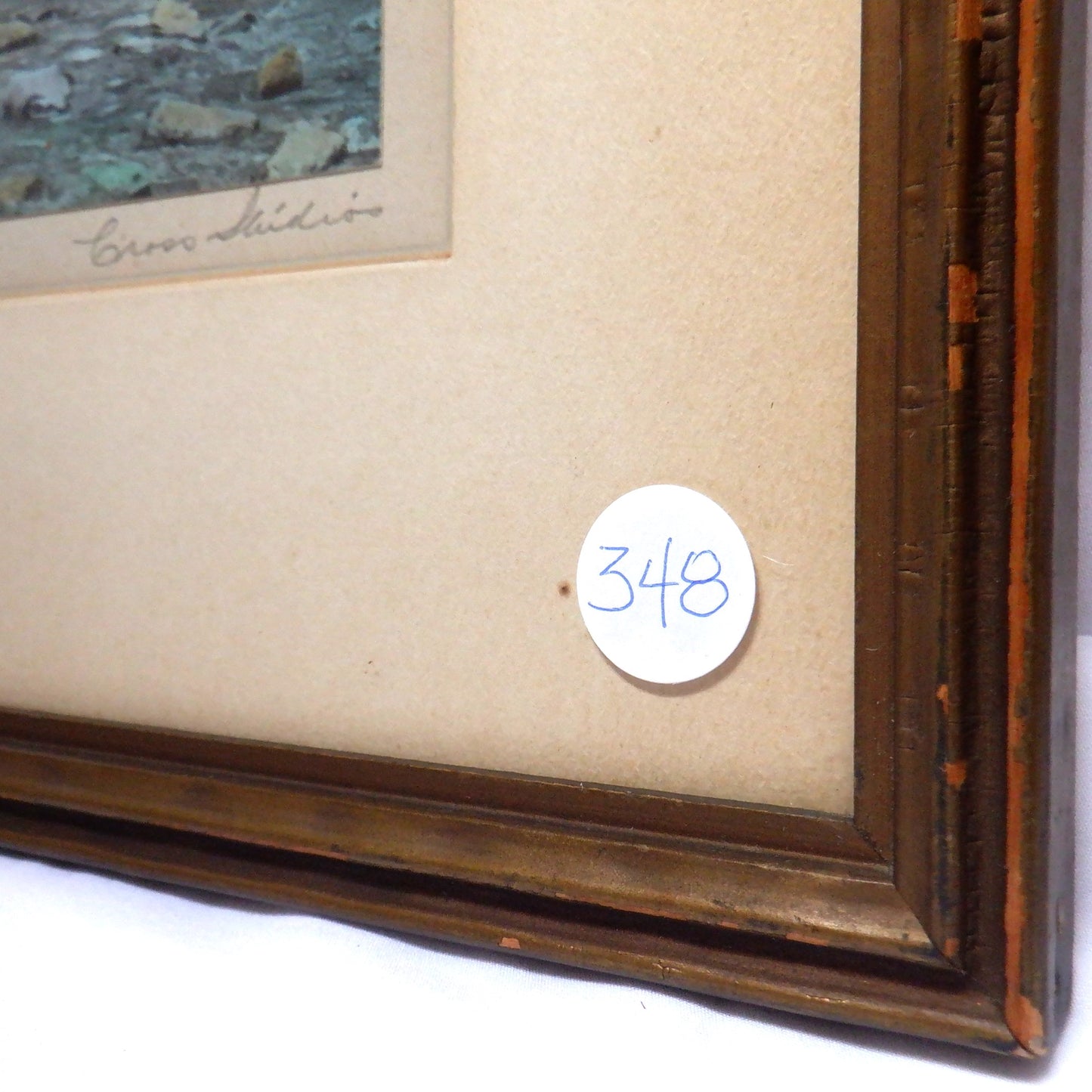 'CAMERON FALLS, ALBERTA', An Antique Hand-Tinted Photograph by Cross Studios, and Framed by J.H. Hill in Westmount, Quebec
