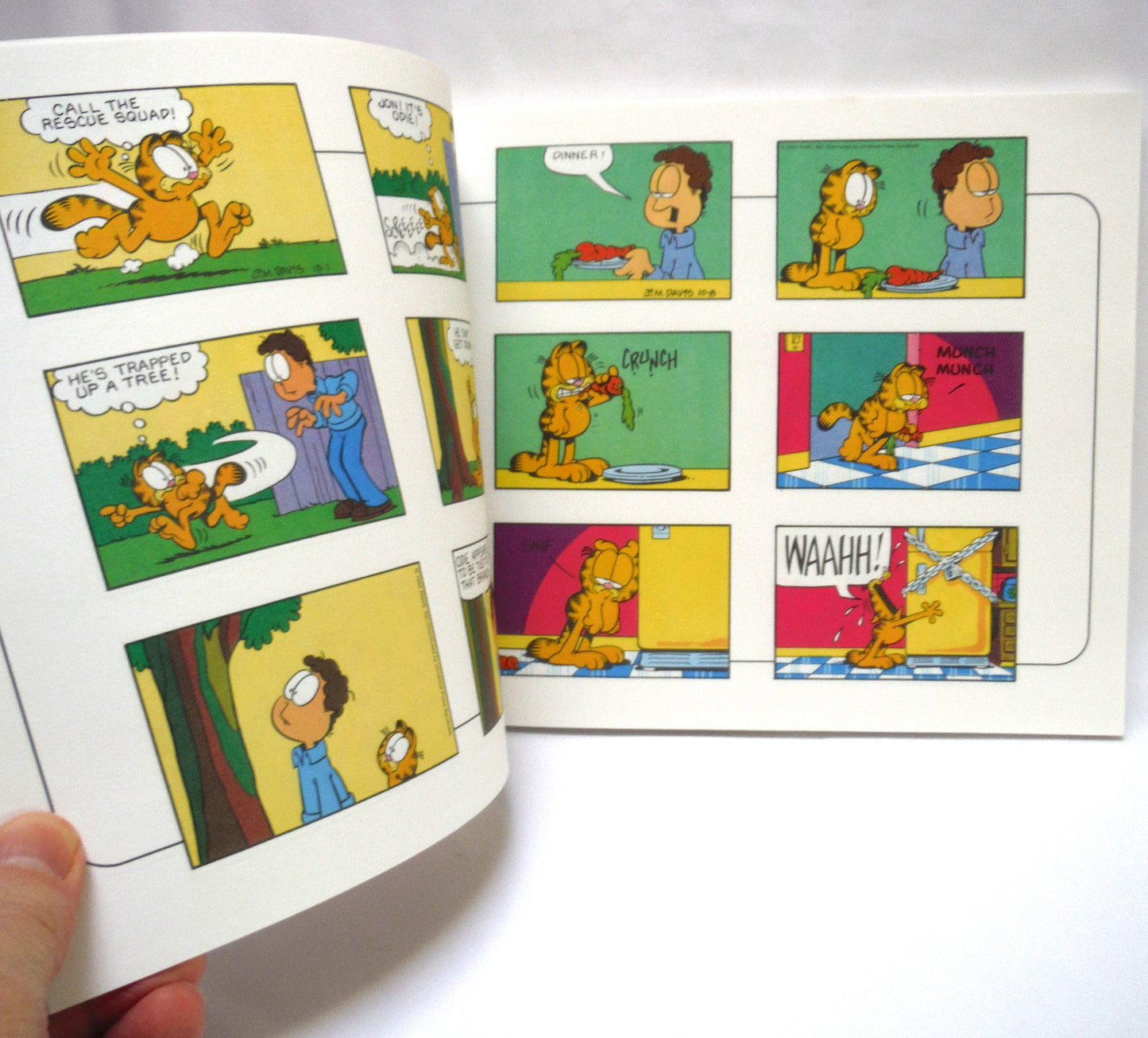 THE NINTH GARFIELD TREASURY, Cartoons by Jim Davis (1997 1st Ed.)
