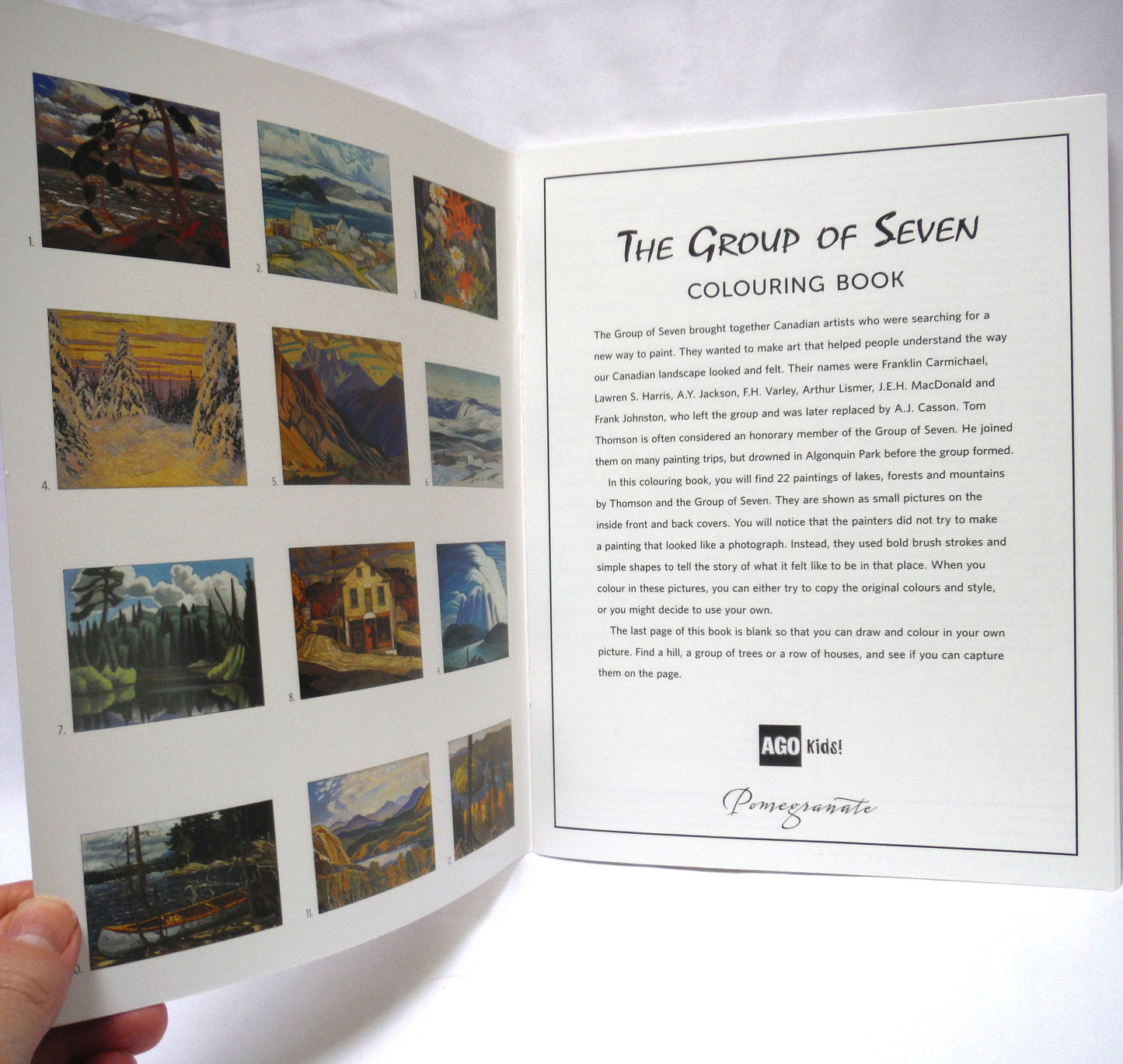 THE GROUP OF SEVEN COLOURING BOOK: Twenty-Two Masterpieces Presented by The Art Gallery of Ontario (2009 1st Ed.)