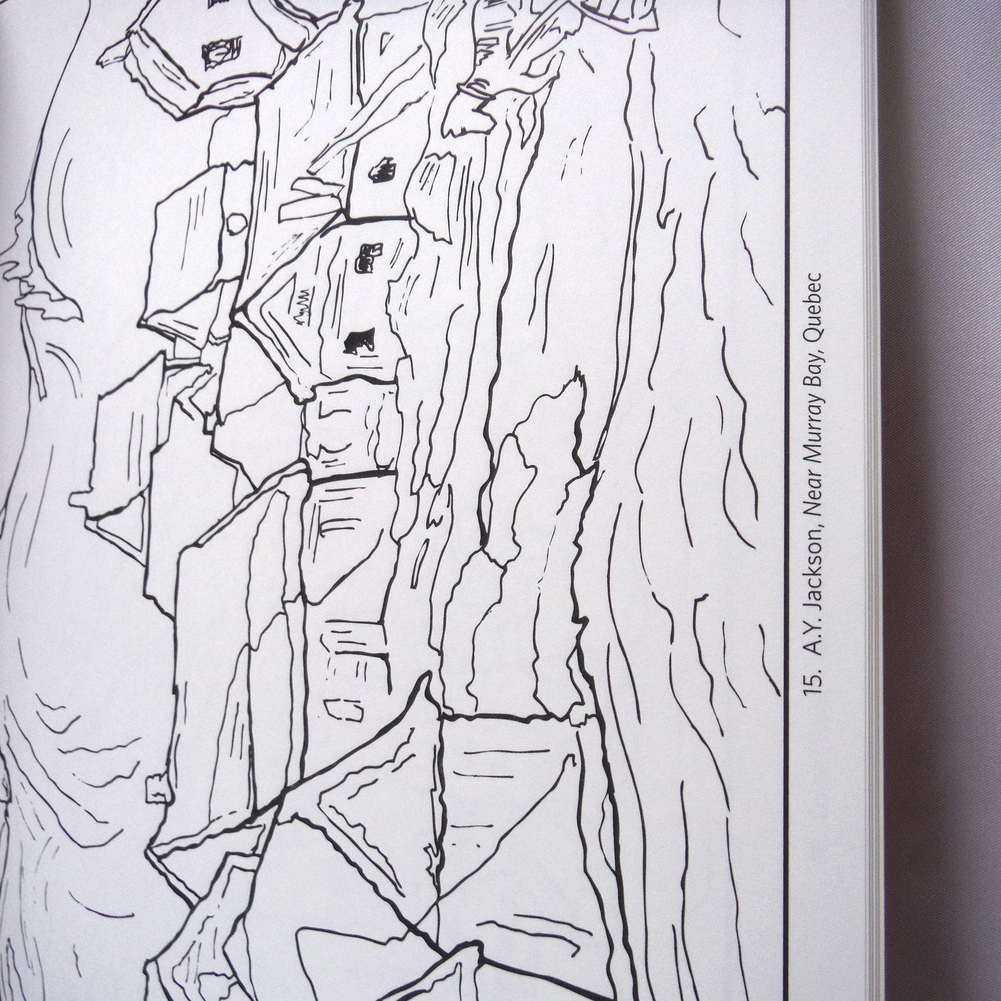 THE GROUP OF SEVEN COLOURING BOOK: Twenty-Two Masterpieces Presented by The Art Gallery of Ontario (2009 1st Ed.)
