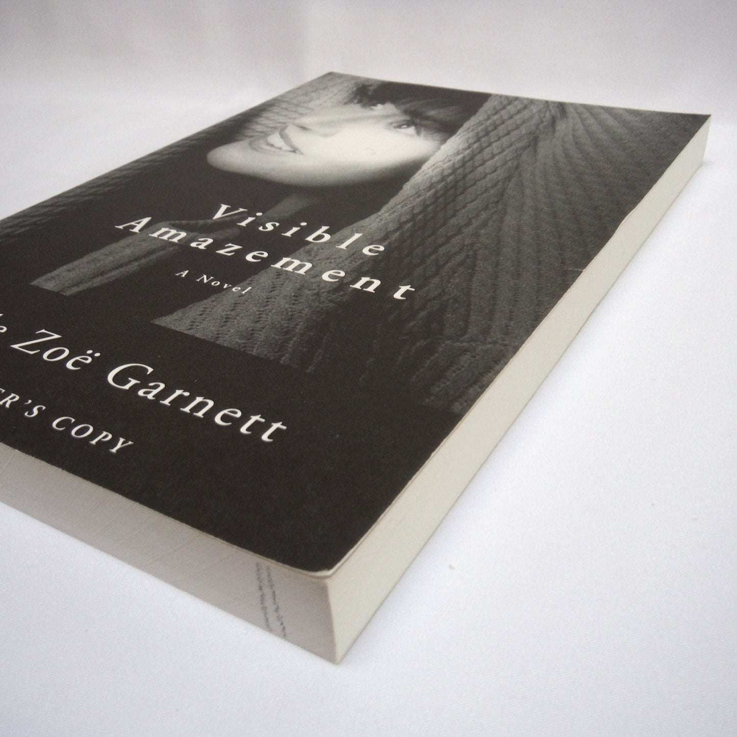 VISIBLE AMAZEMENT, A Novel by Gale Zoë Garnett (1st Ed. SIGNED)