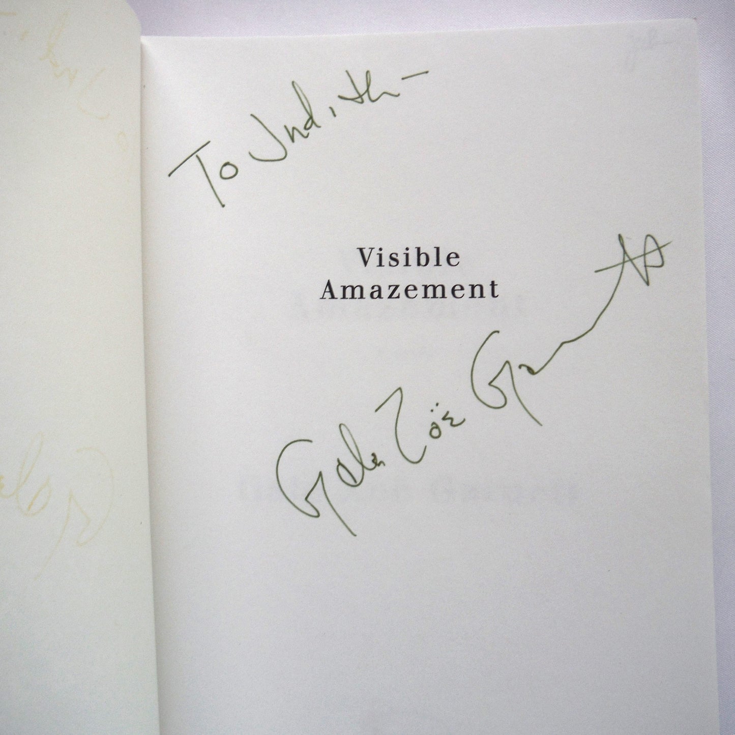 VISIBLE AMAZEMENT, A Novel by Gale Zoë Garnett (1st Ed. SIGNED)