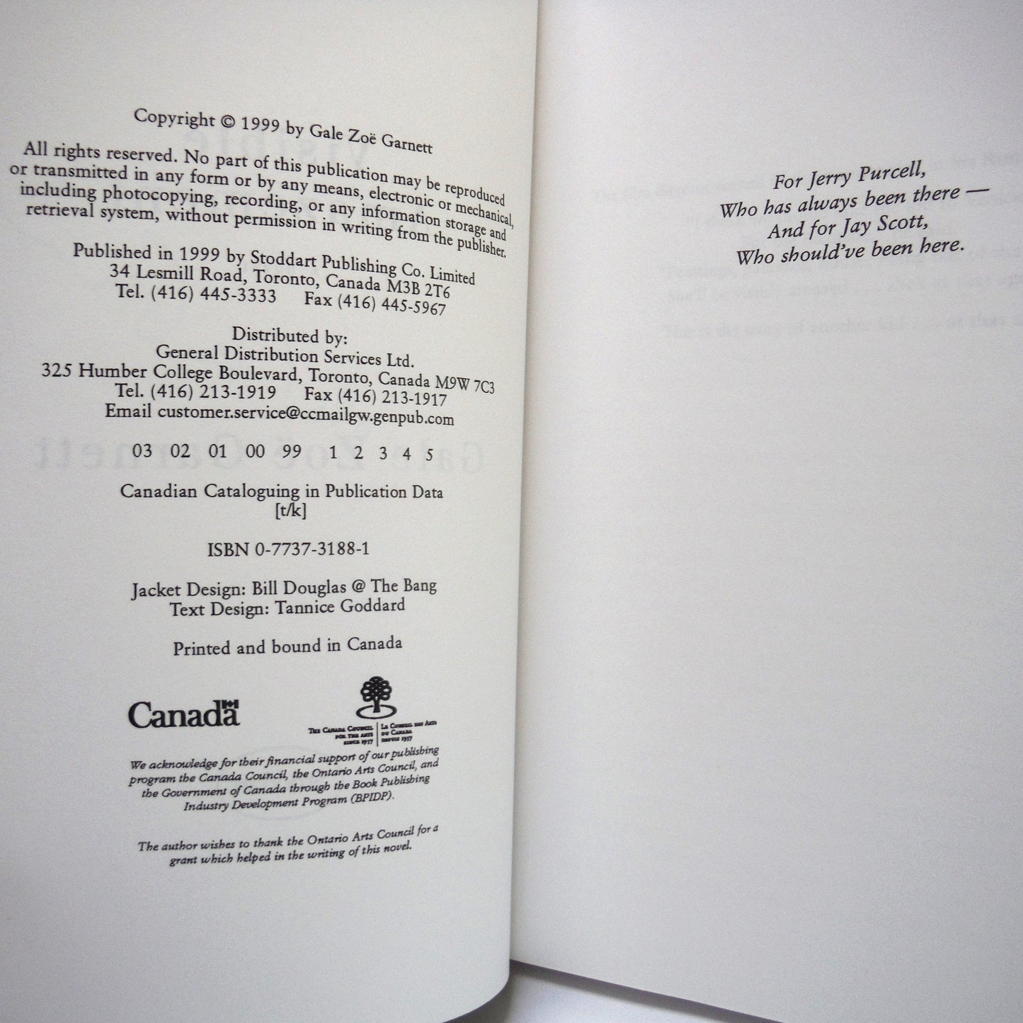 VISIBLE AMAZEMENT, A Novel by Gale Zoë Garnett (1st Ed. SIGNED)
