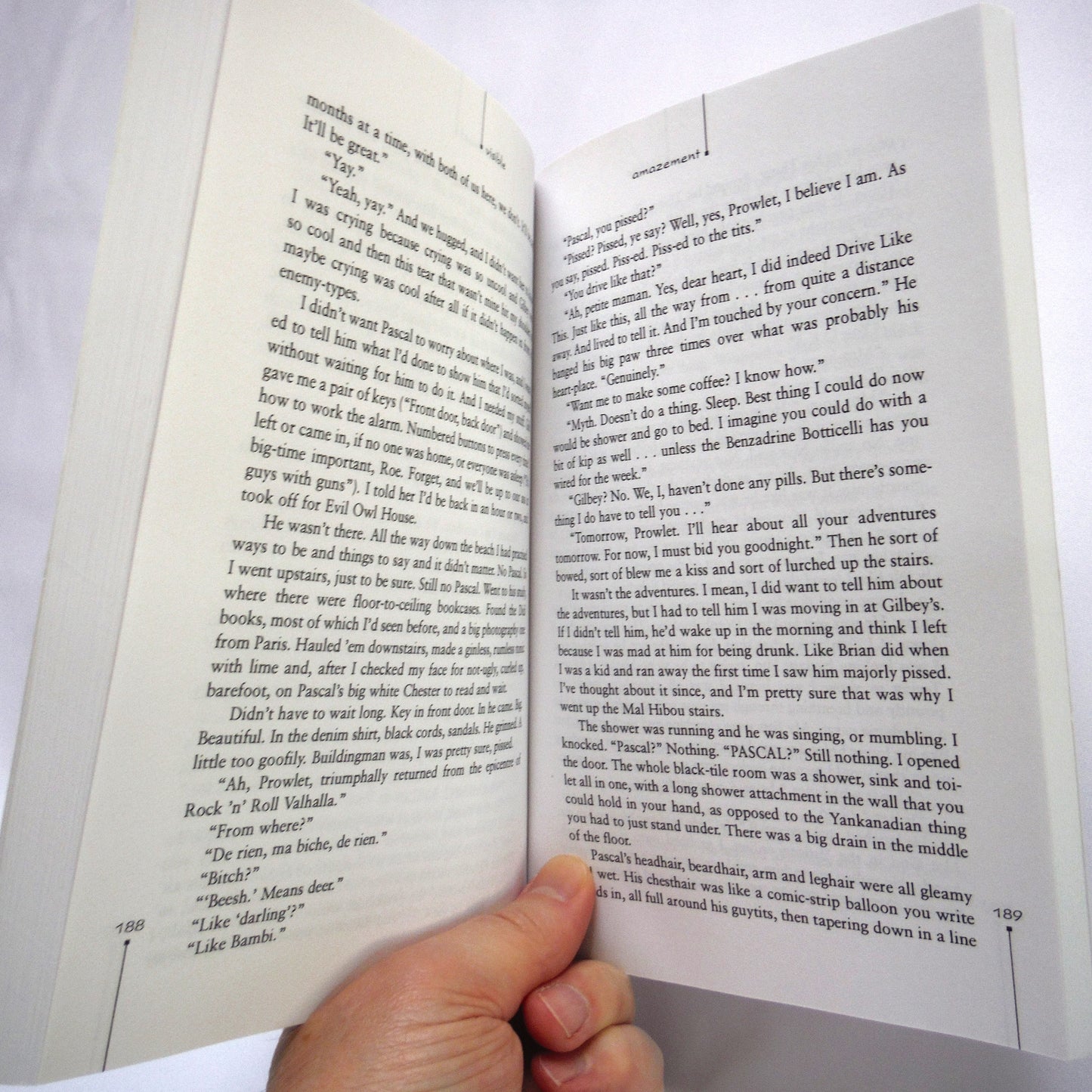 VISIBLE AMAZEMENT, A Novel by Gale Zoë Garnett (1st Ed. SIGNED)