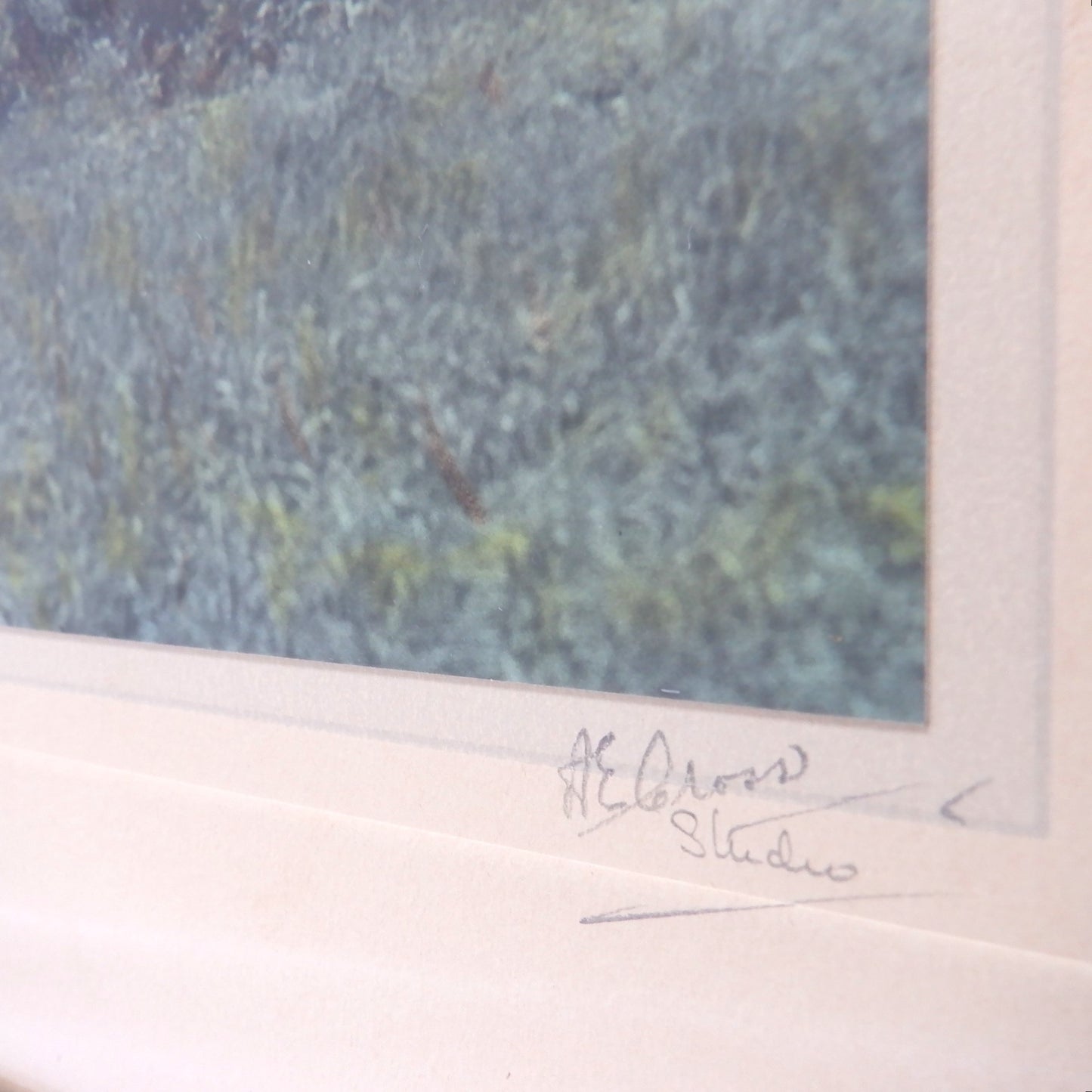 Vintage Hand-Tinted Alberta Photograph, by A. E. Cross Studios: 'WATERTON LAKES' (View #1)