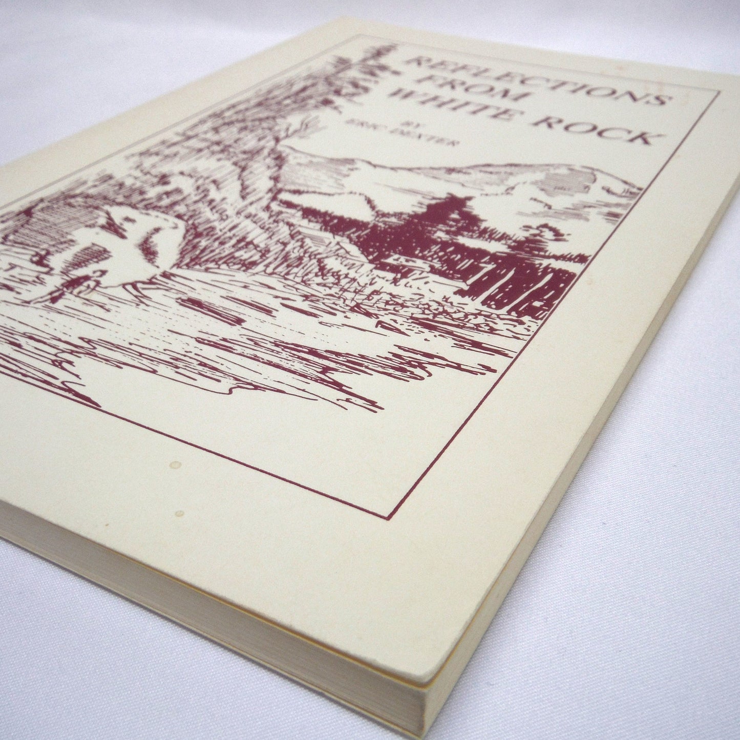 REFLECTIONS FROM WHITE ROCK, by Reverend Eric Dexter (1st Ed. SIGNED)