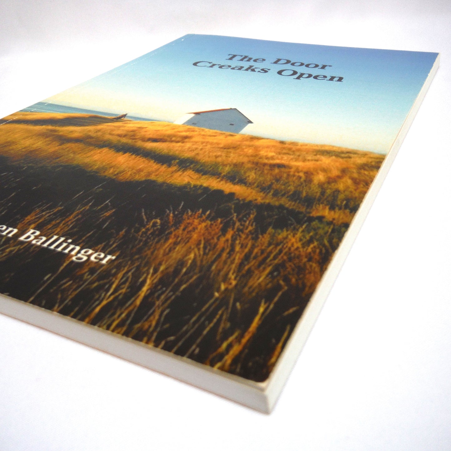 THE DOOR CREAKS OPEN, Poetry by Karen Mallinger (1st Ed. SIGNED)