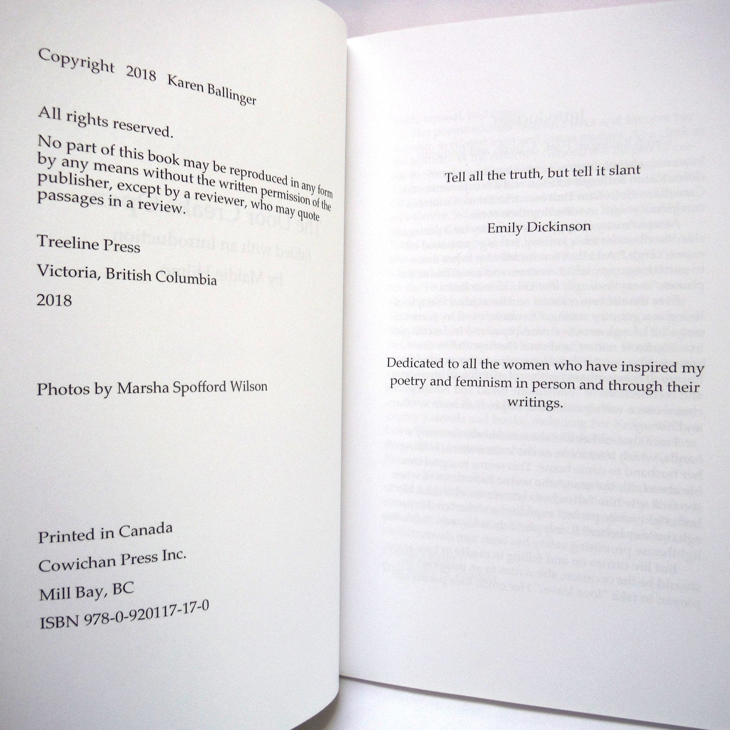 THE DOOR CREAKS OPEN, Poetry by Karen Mallinger (1st Ed. SIGNED)