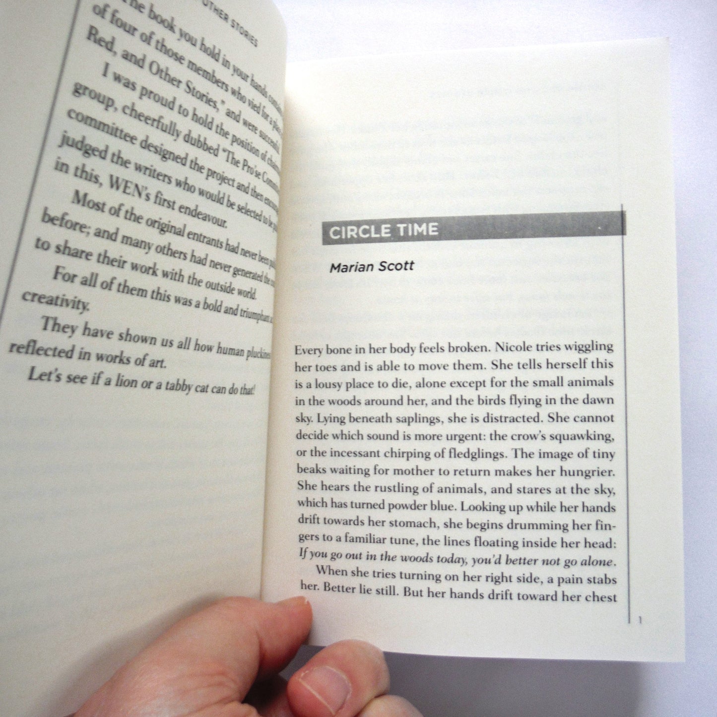 SEEING RED, AND OTHER STORIES, by WEN, the Writers and Editors Network (1st Ed. SIGNED)