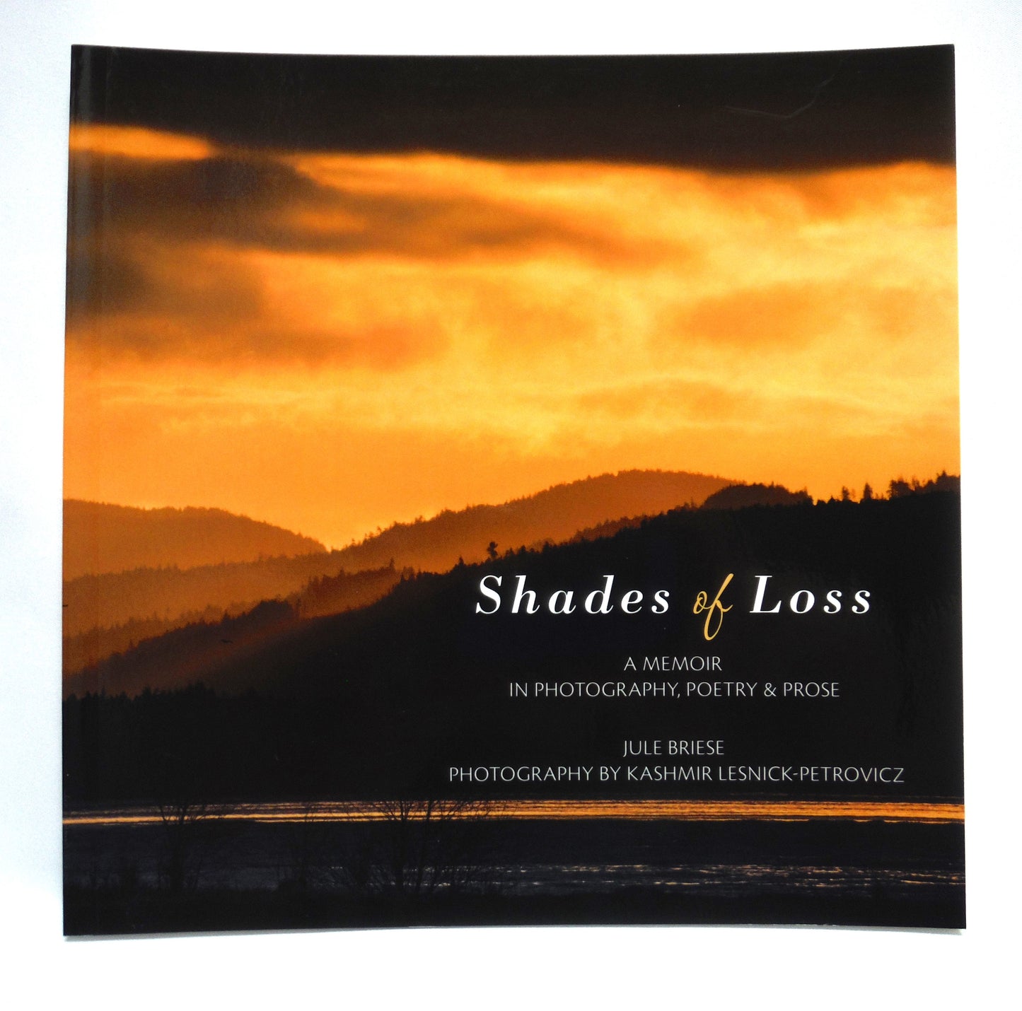 SHADES OF LOSS, A Memoir in Photography, Poetry and Prose, by Jule Briese, with photography by Kashmir Lesnick-Petrovicz (1st Ed. SIGNED)