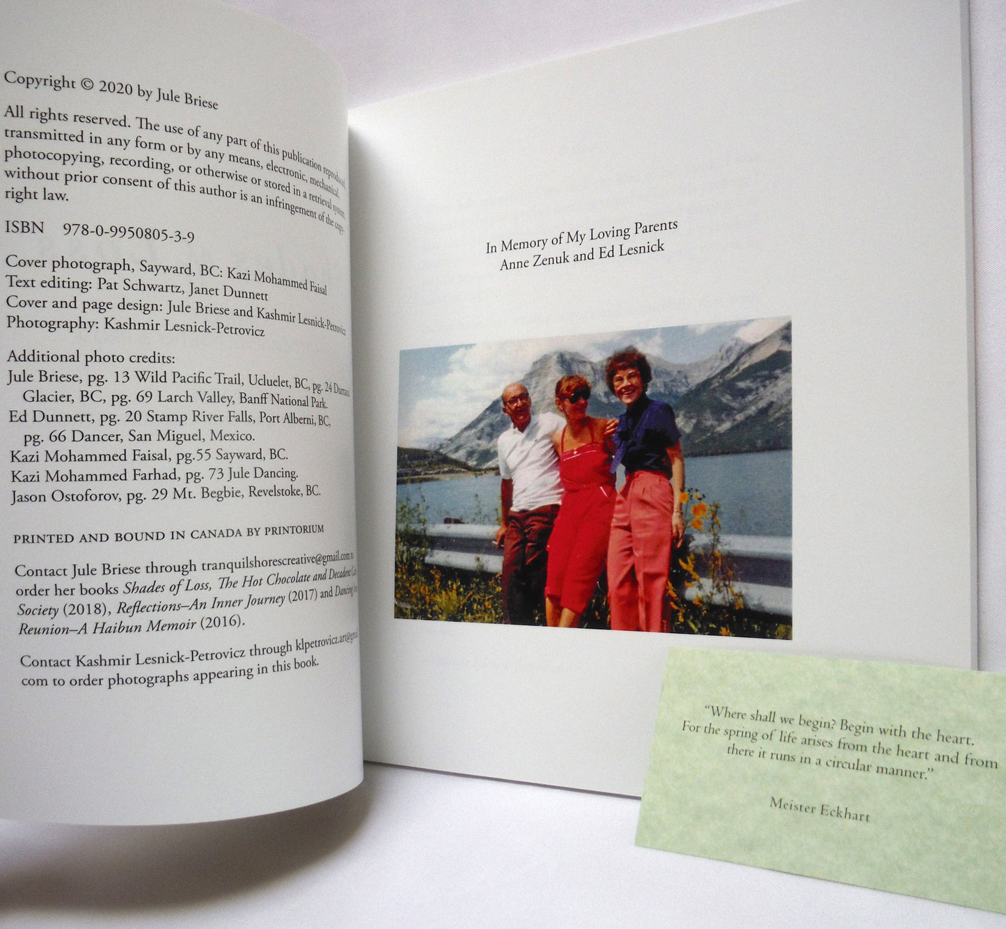 SHADES OF LOSS, A Memoir in Photography, Poetry and Prose, by Jule Briese, with photography by Kashmir Lesnick-Petrovicz (1st Ed. SIGNED)