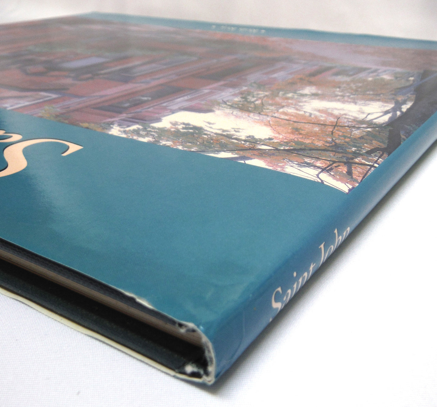 SAINT JOHN, A Photographic Tribute by Rob Roy (1st Ed. SIGNED)