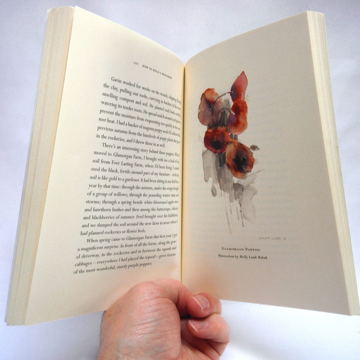 HOME: Tales of a Heritage Farm, by Anny Scoones (1st Ed. SIGNED)