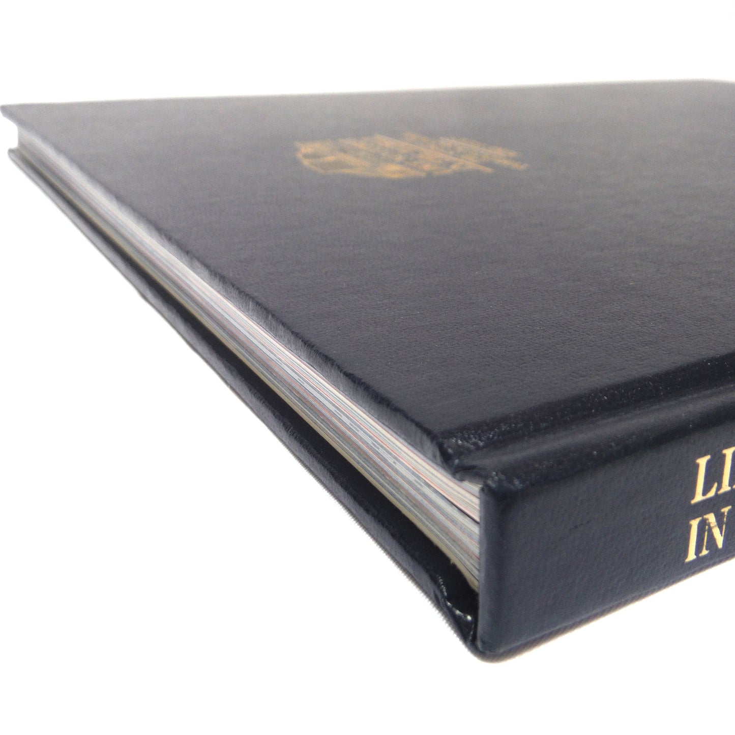 LIKE NO OTHER IN THE WORLD, The Story of Toronto's SkyDome by Mike Filey (1989 1st Ed.)