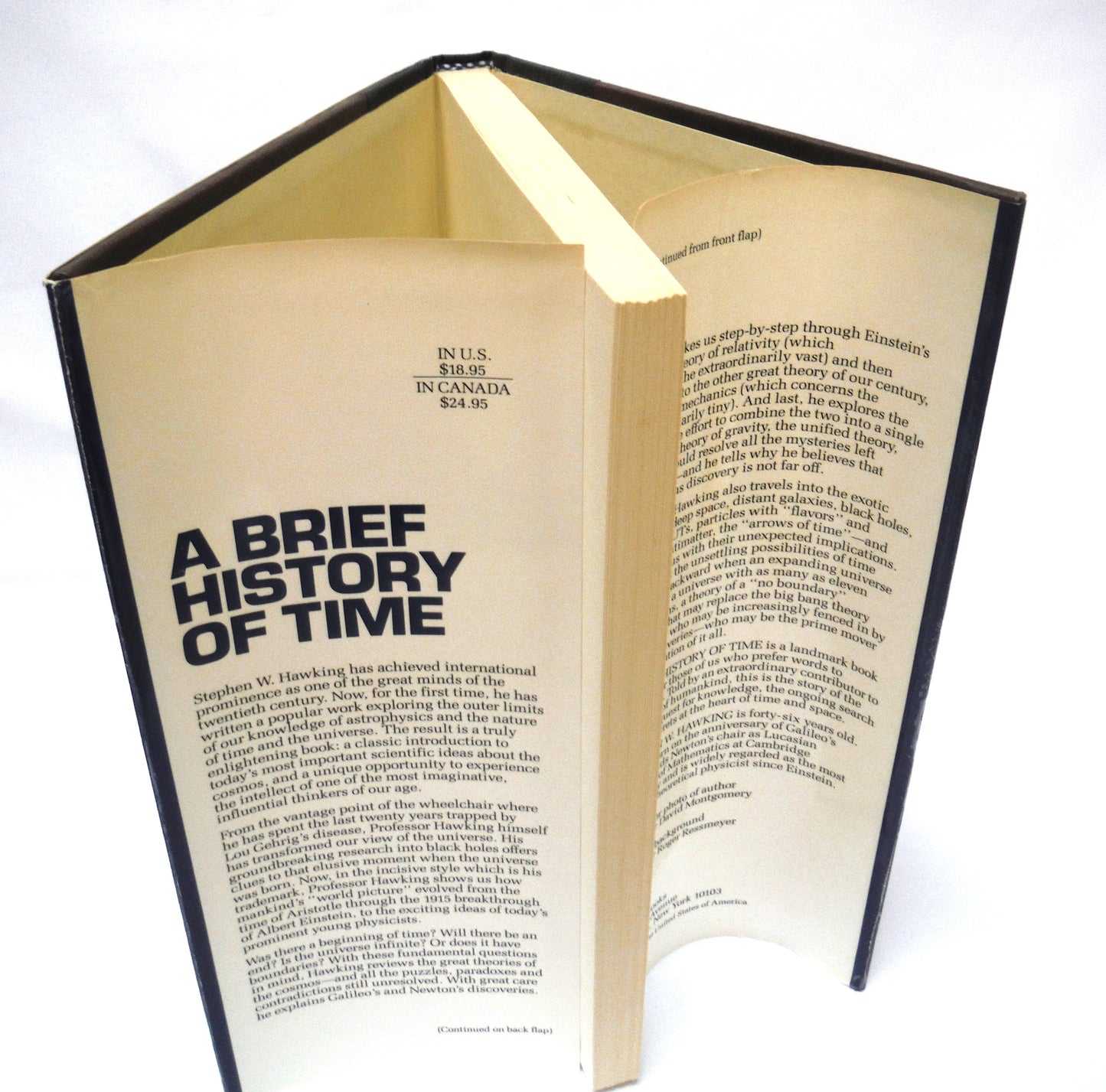 A BRIEF HISTORY OF TIME, From the Big Bang to Black Holes, by Stephen W. Hawking (1988 1st Ed.)