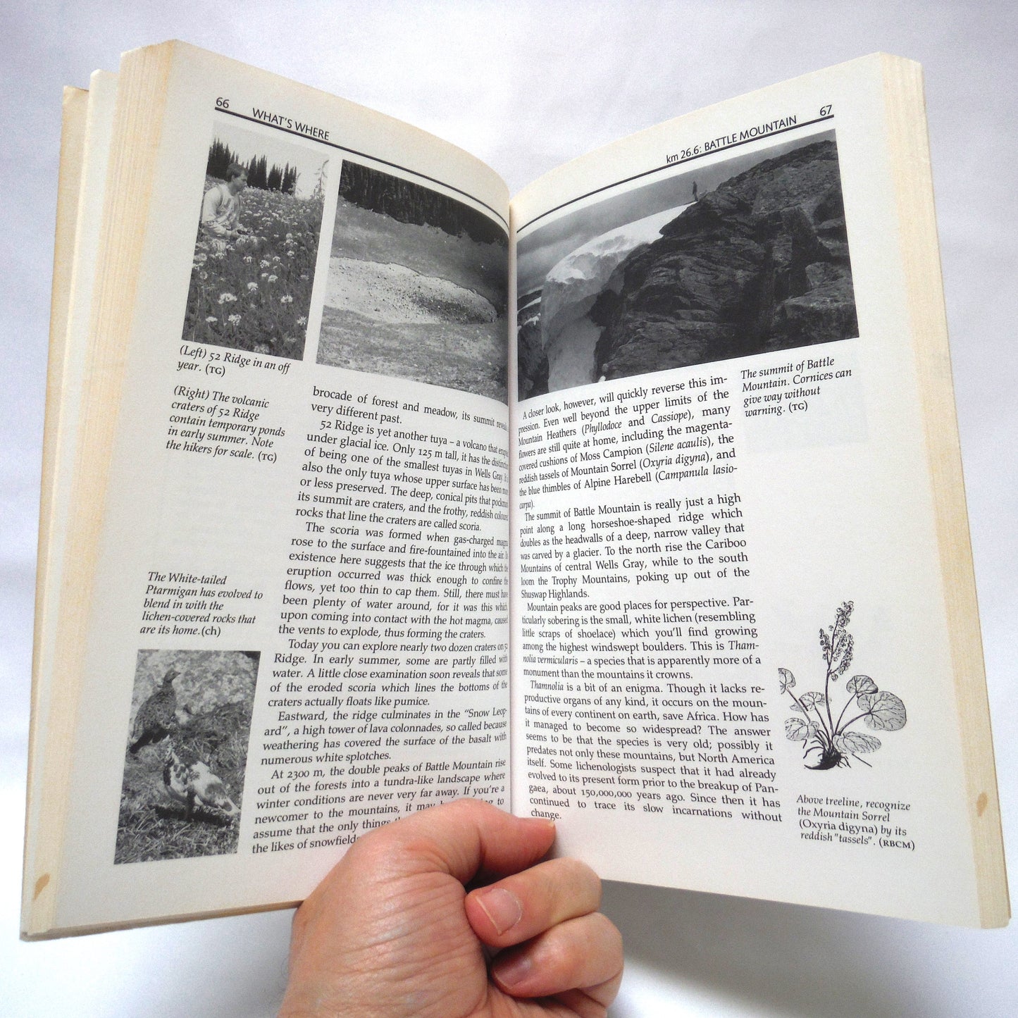 NATURE WELLS GRAY, The Clearwater Valley by Trevor Goward and Cathie Hickson (1989 1st Ed.)